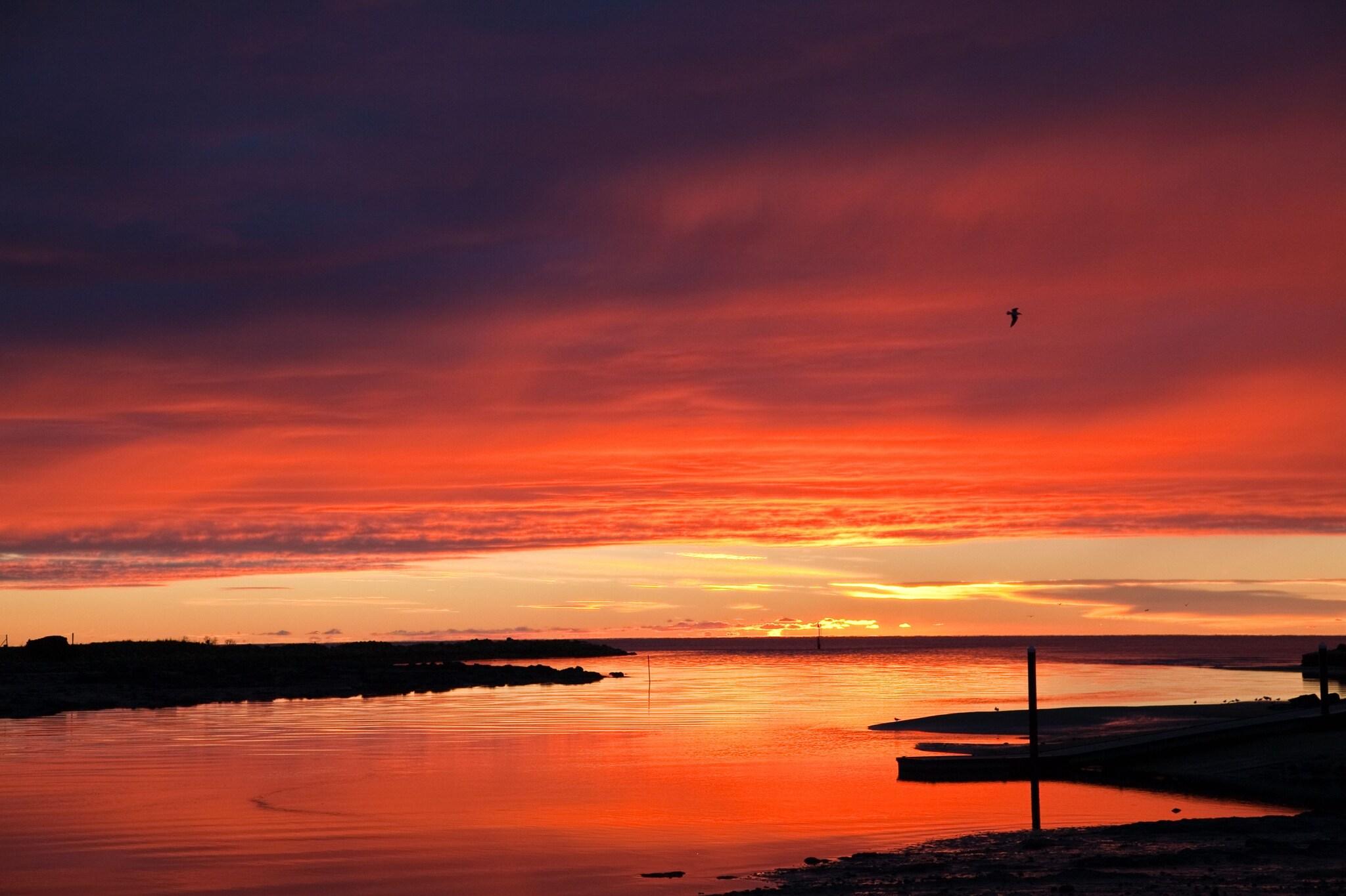 The Waterfront Wynyard by null
