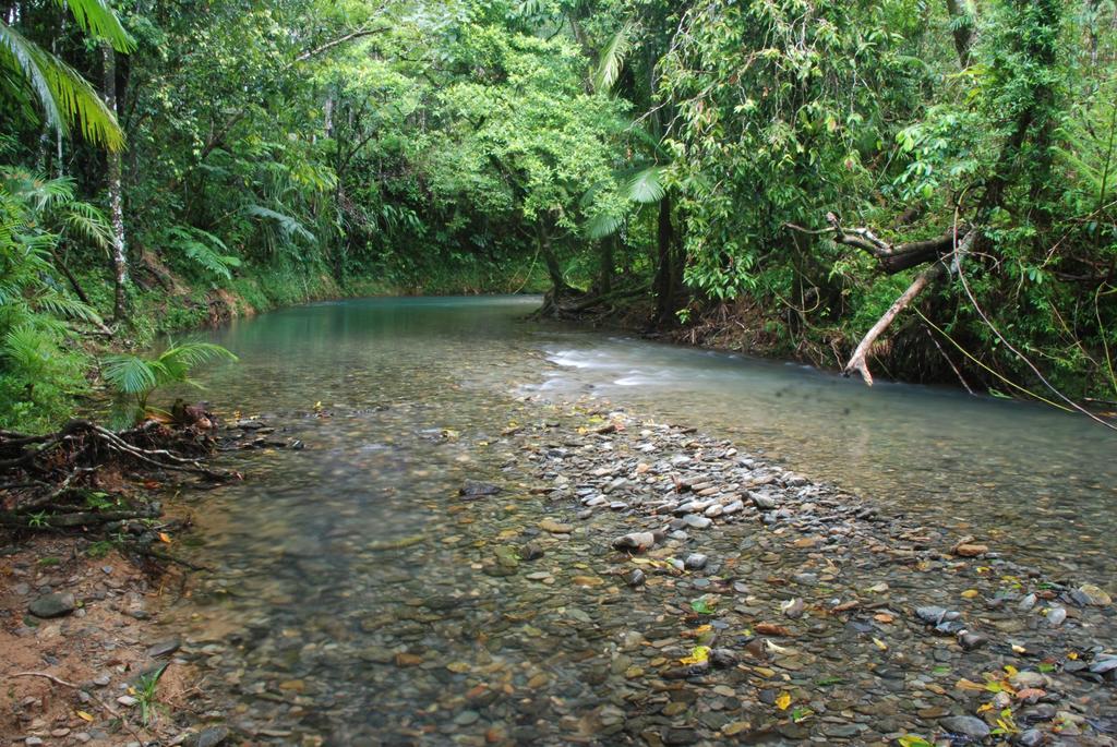 Heritage Lodge In The Daintree by null