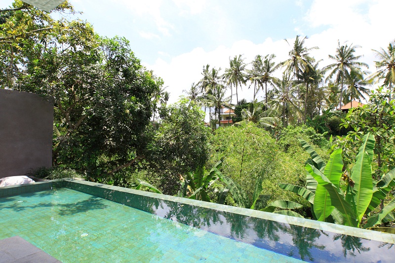 Aria Villas Ubud by null