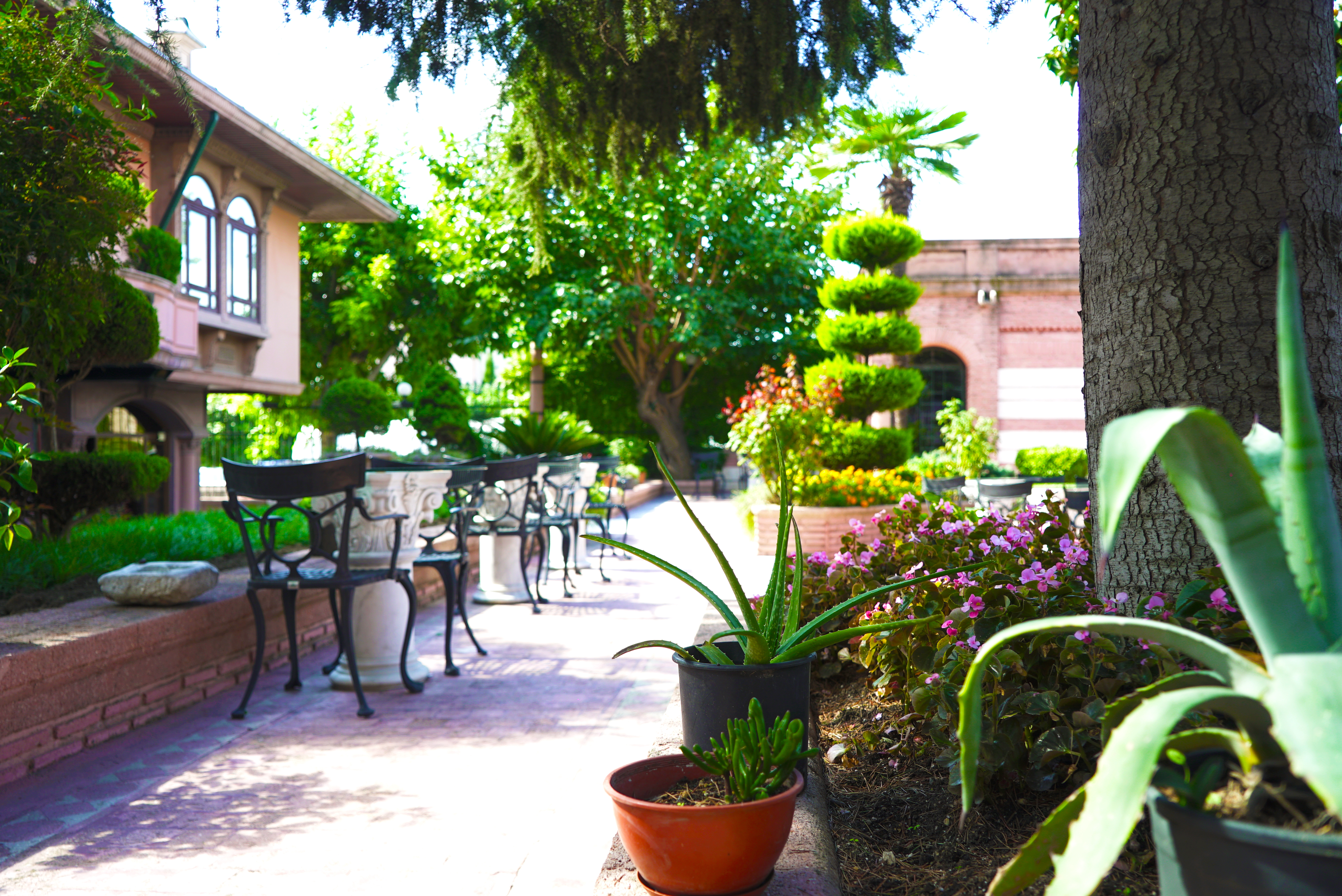 Sultanahmet Palace ( Sultanahmet Sarayi ) - фото