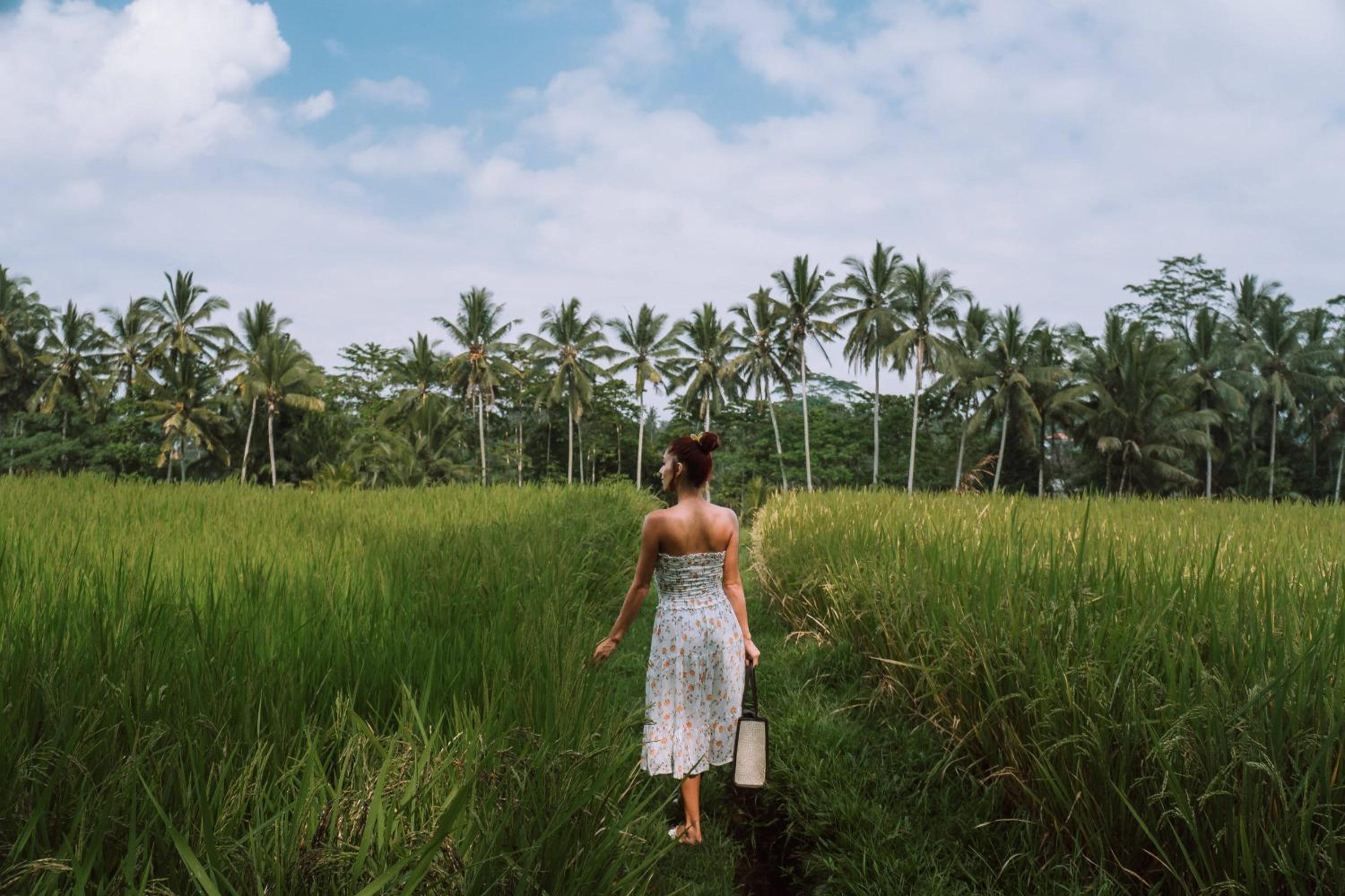 The Kayon Resort Ubud