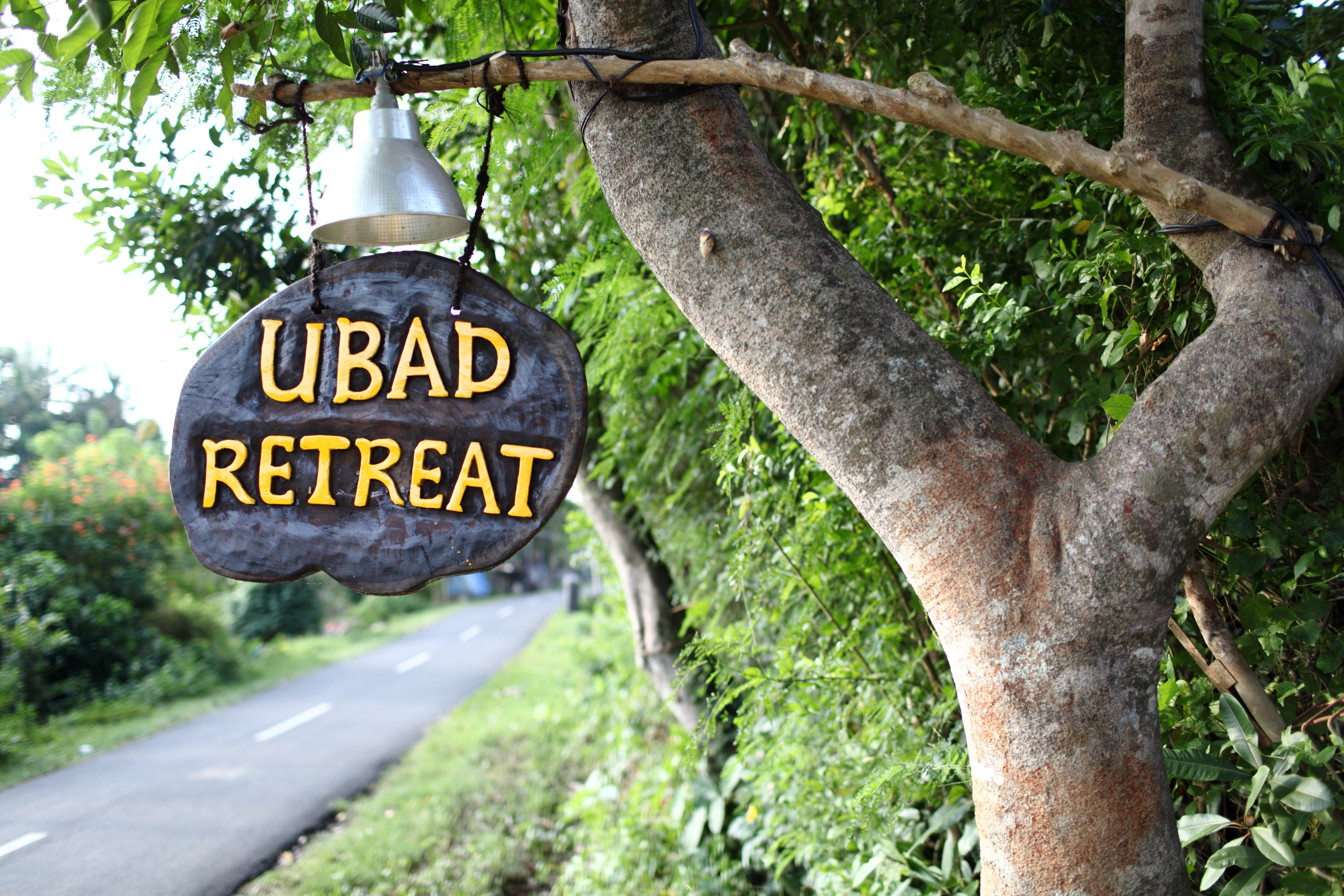 Ubad Retreat - nuotrauka