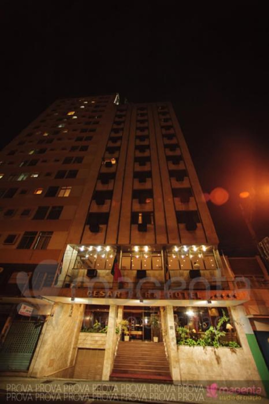 Cesar Park Juiz de Fora Hotel