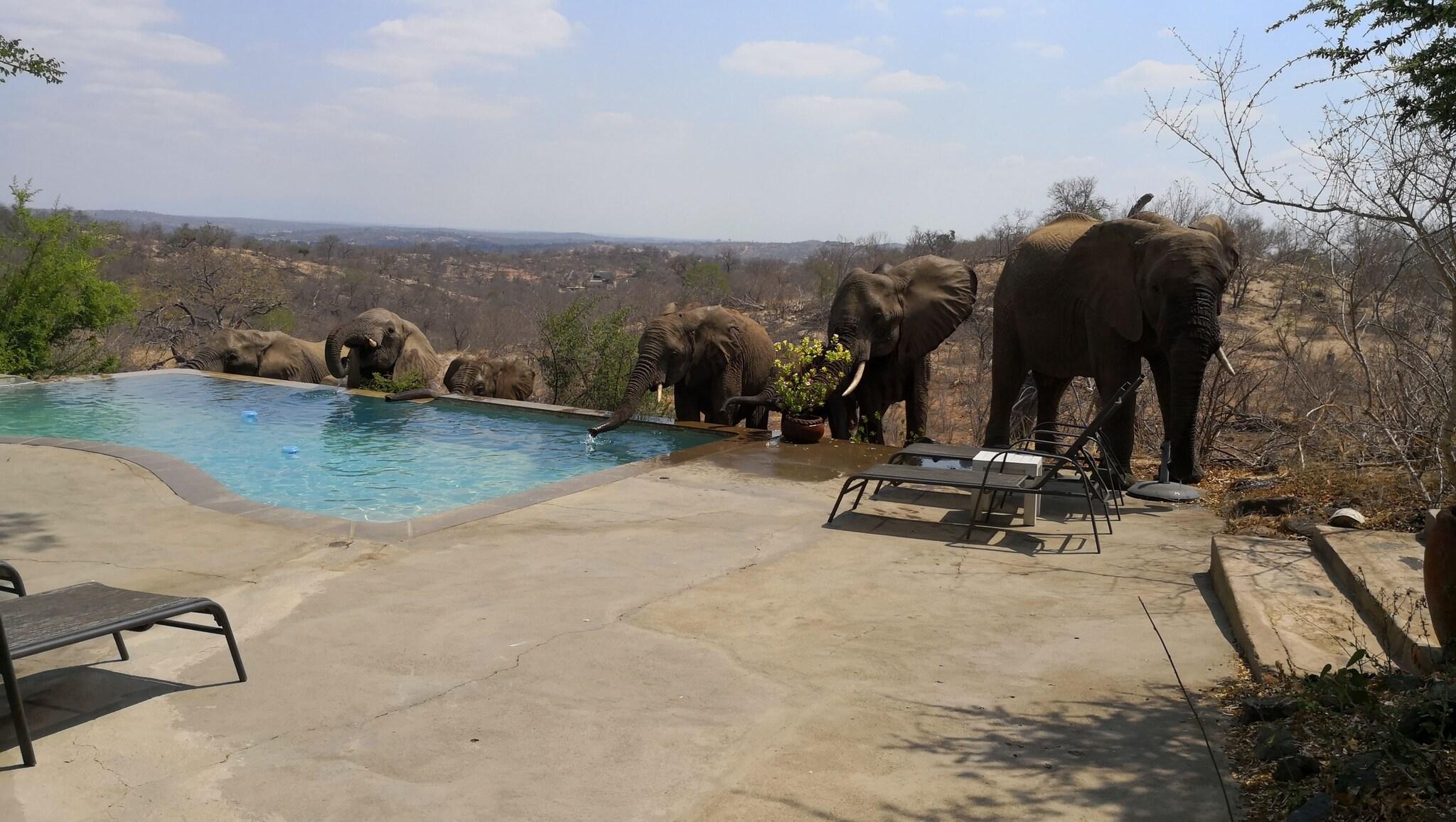 Mbizi Bush Lodge