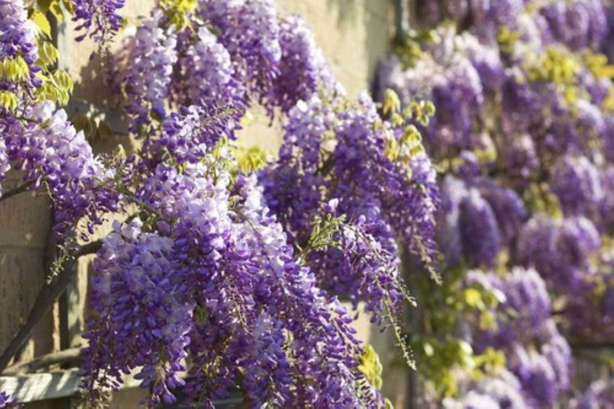 The Broadway Hotel by null