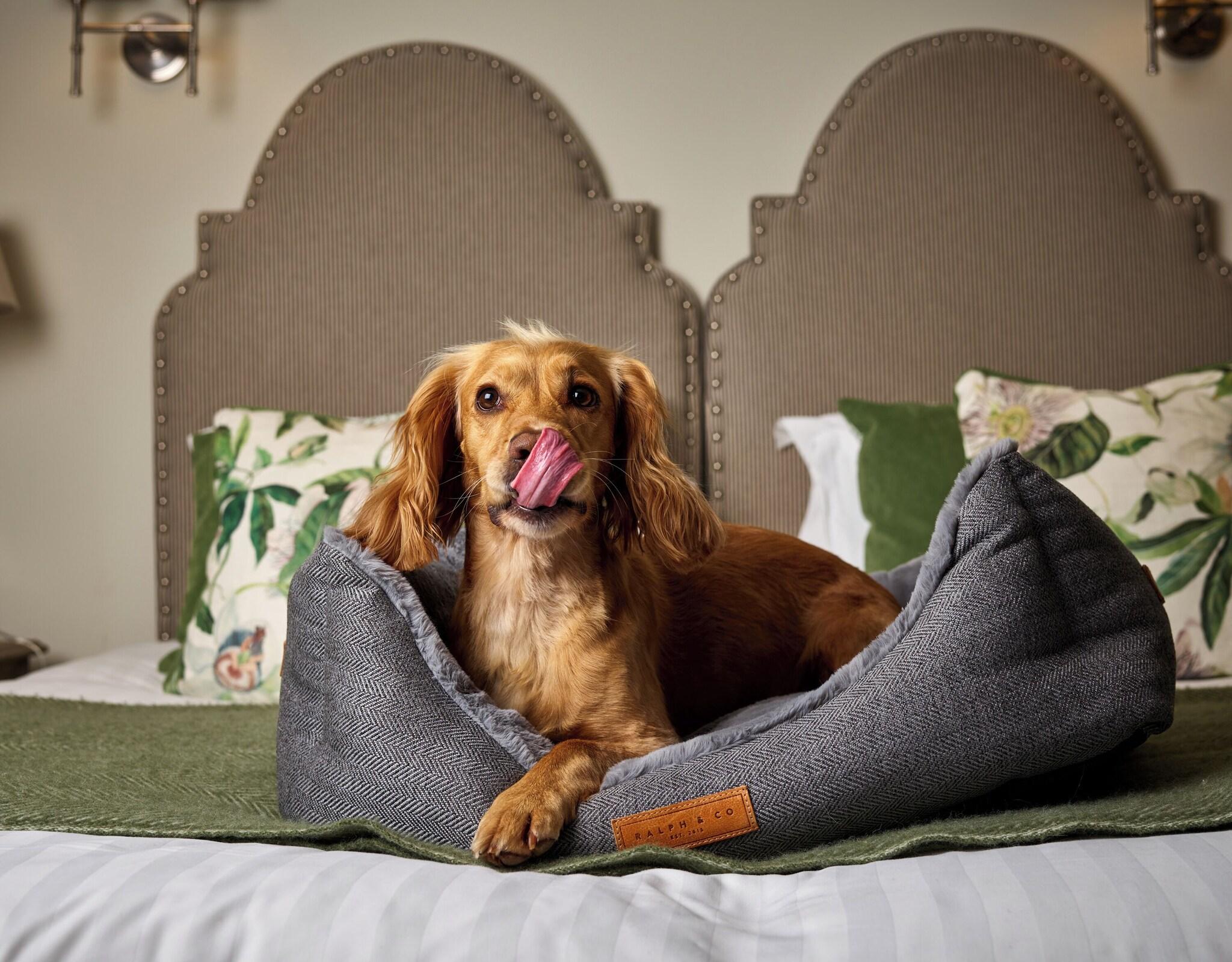 The Montagu Arms Hotel by null