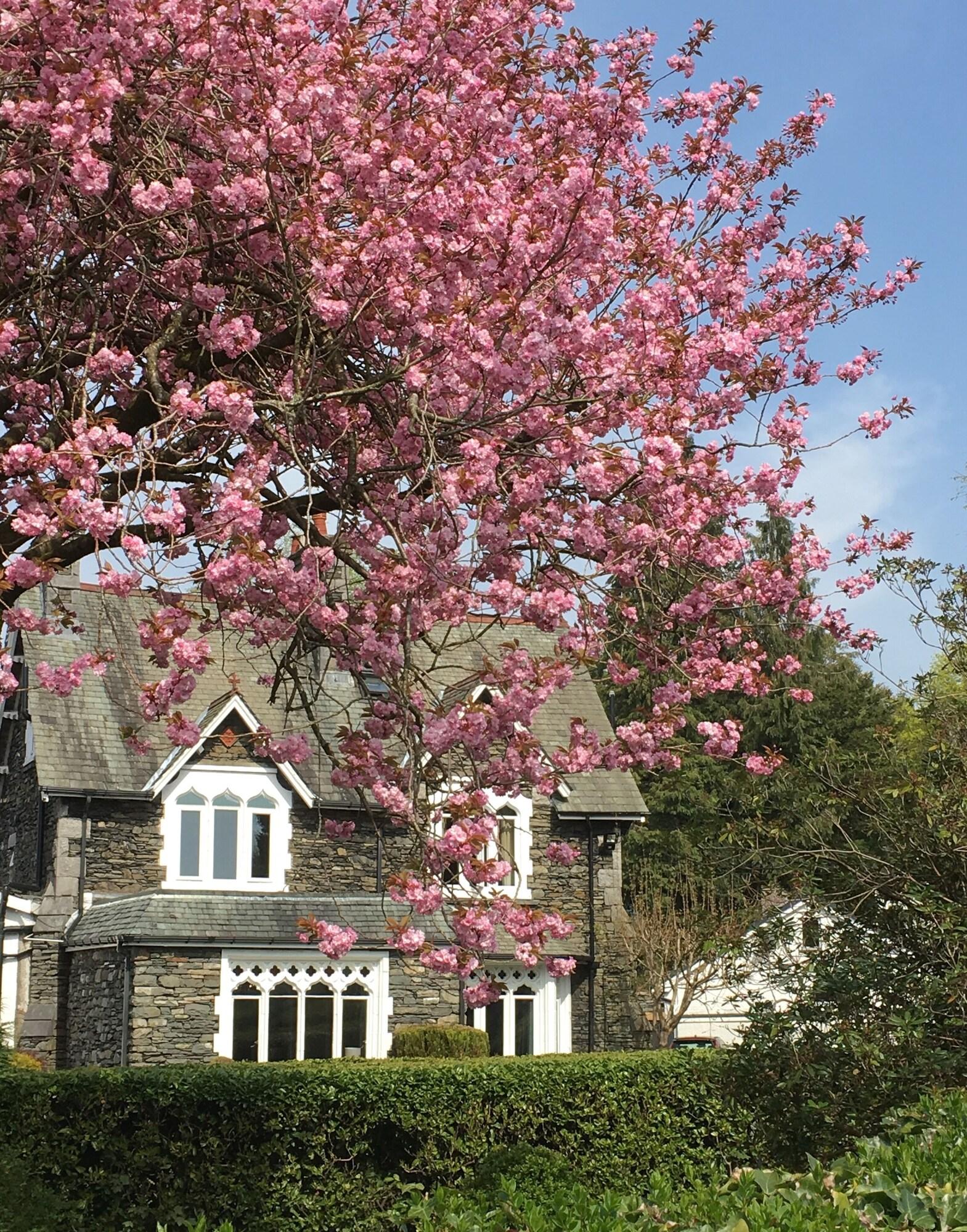 The Hideaway at Windermere by null