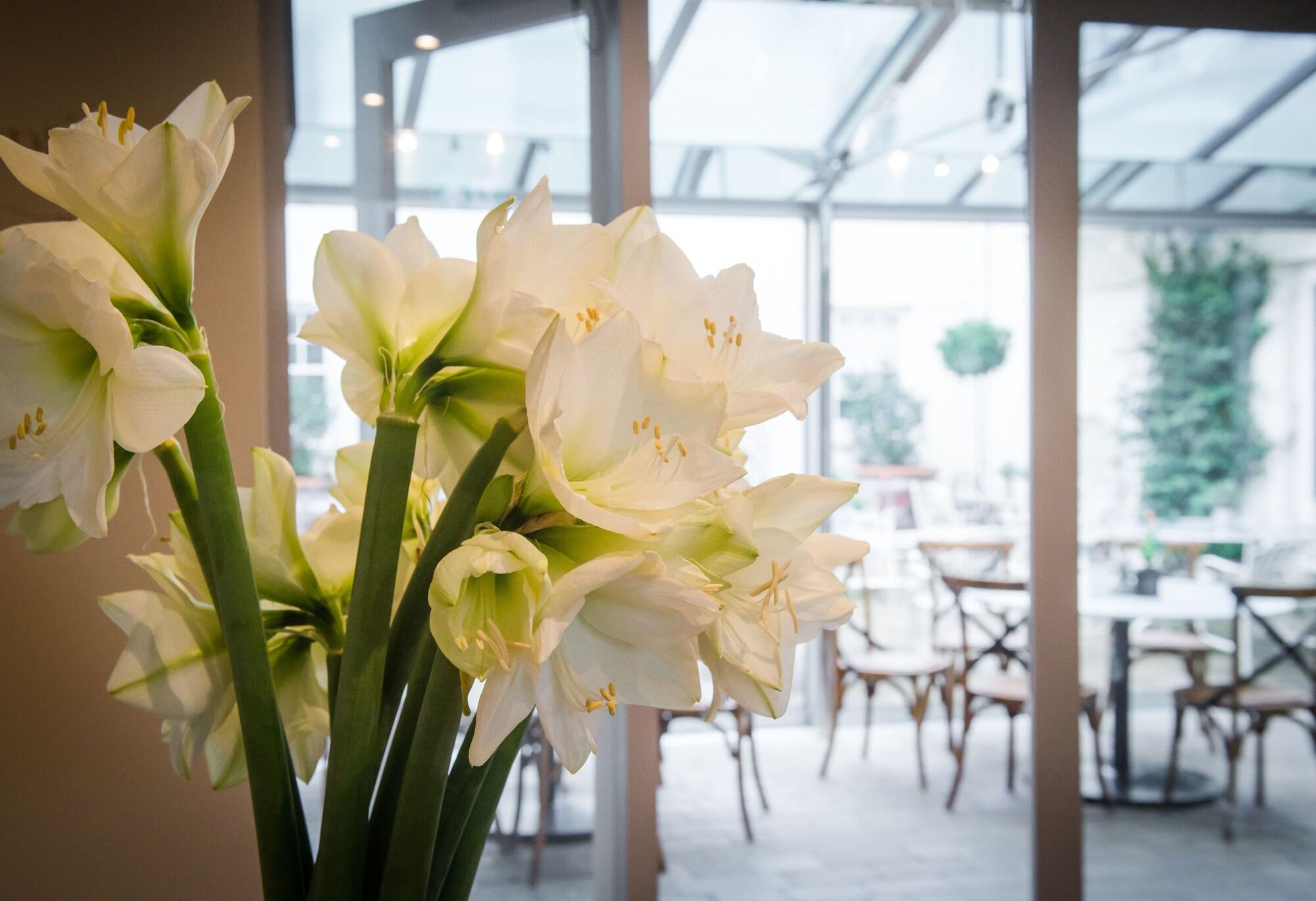 The Grosvenor Arms by null