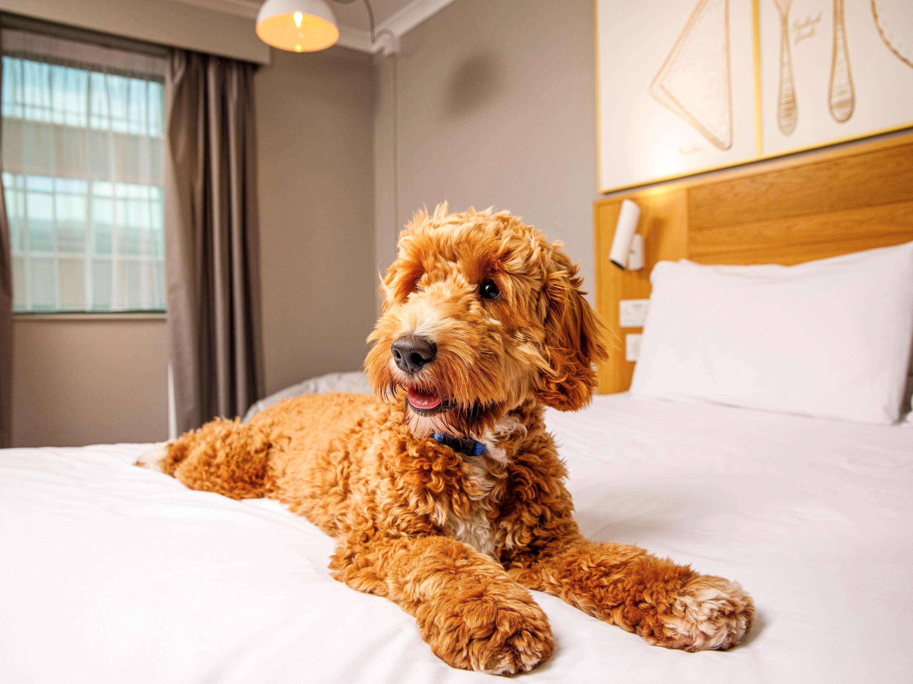 ibis Styles Birmingham Centre