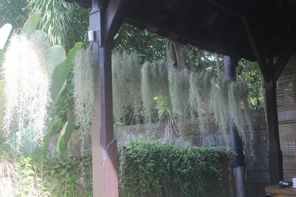 Louto Dmell homestay