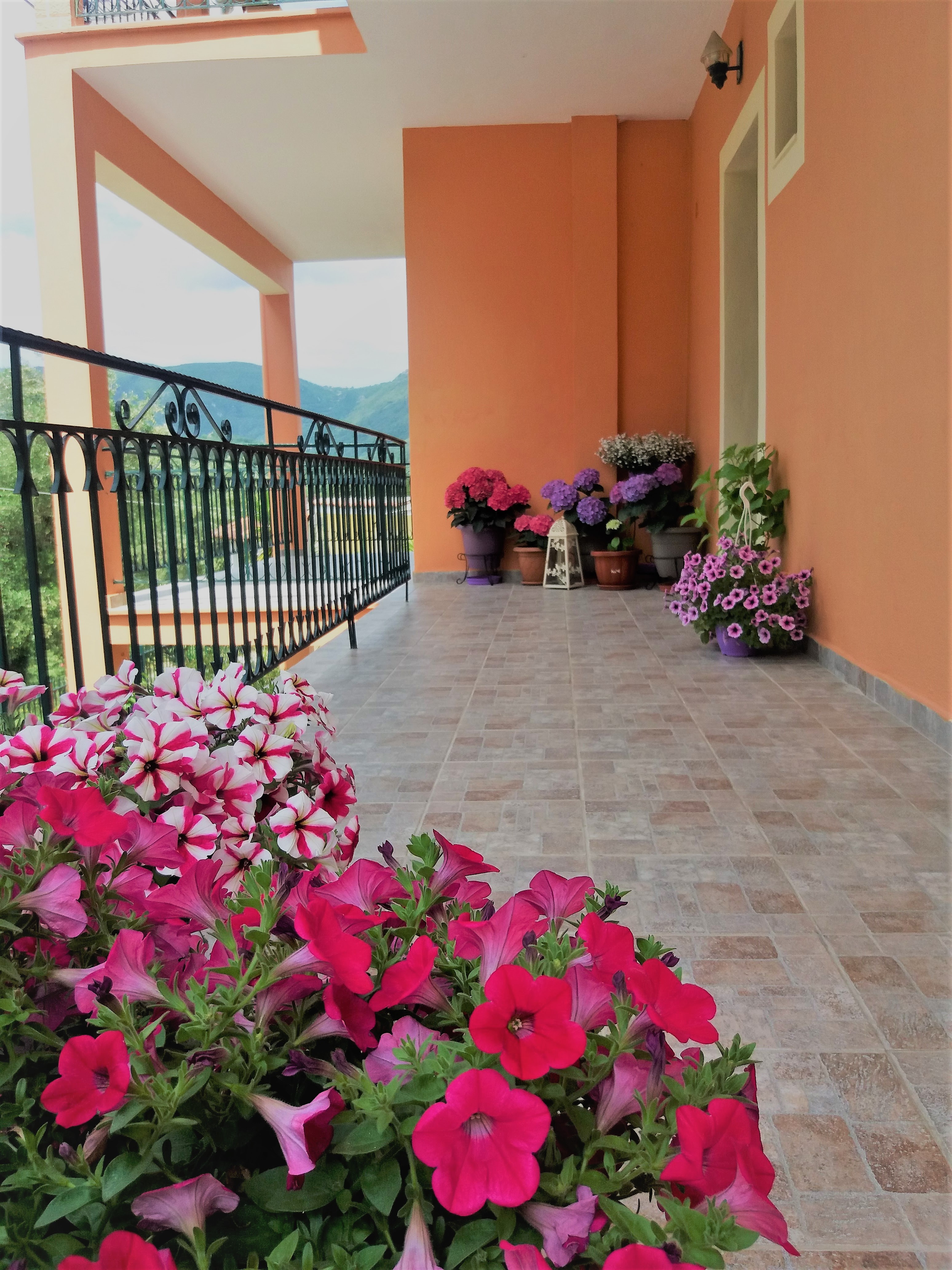 Ziogas Luxury Apartment's - фото