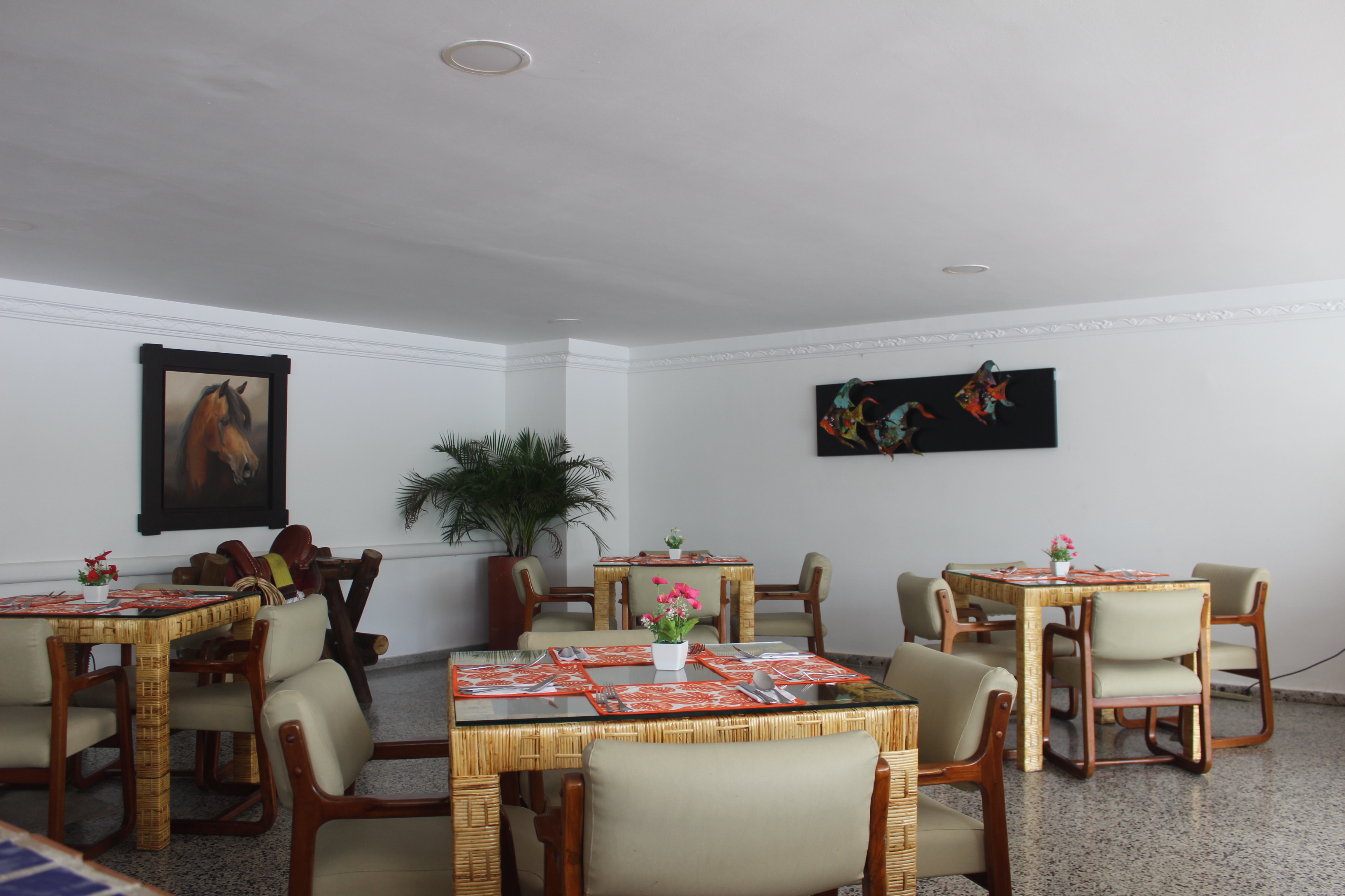 Hotel del Llano