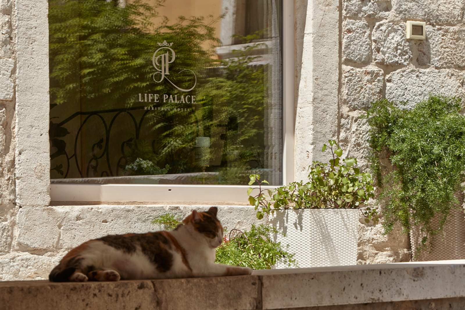 Heritage Hotel Life Palace by null