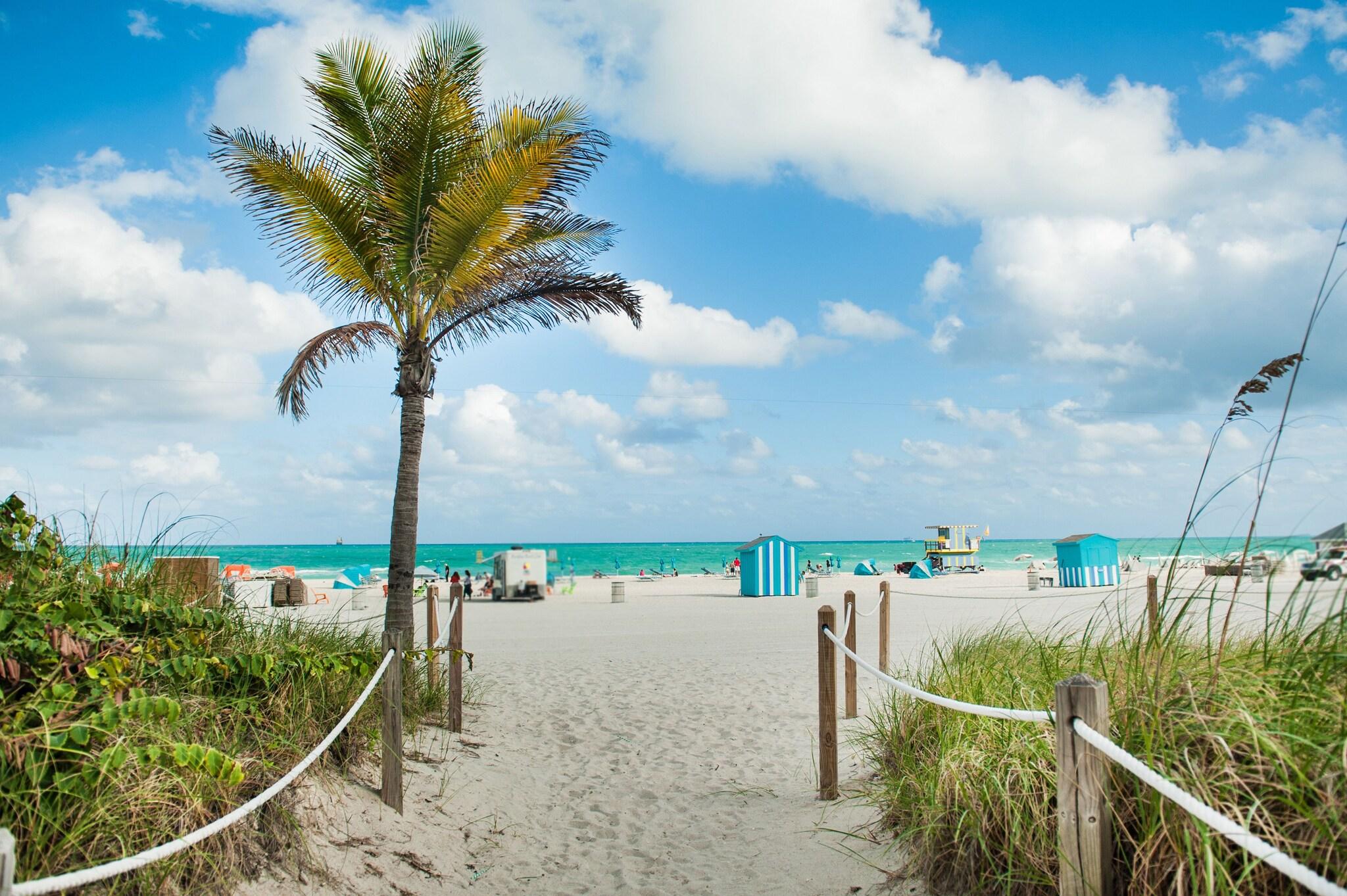 Hyatt Centric South Beach Miami by null