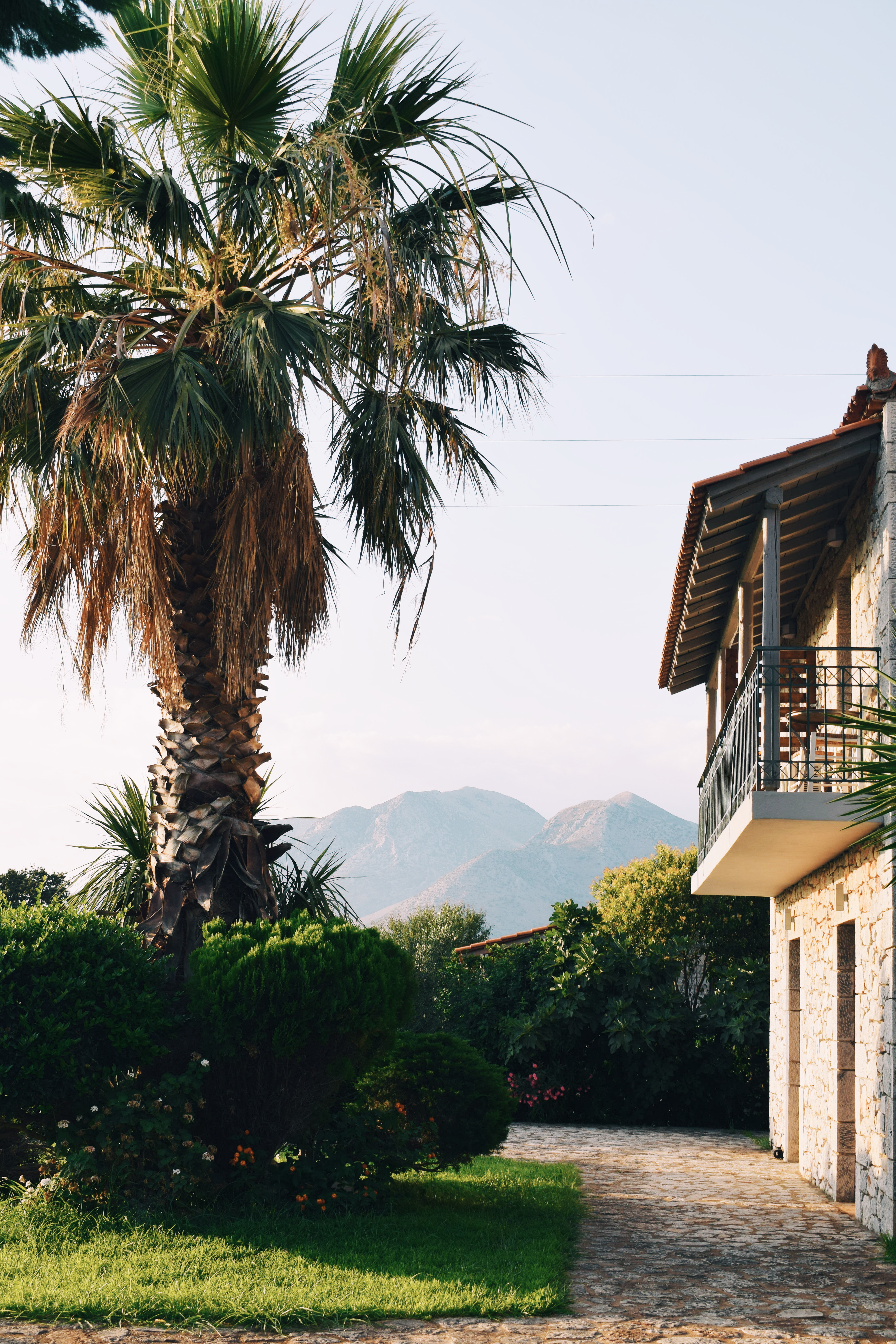 Kastro Maini - Poză