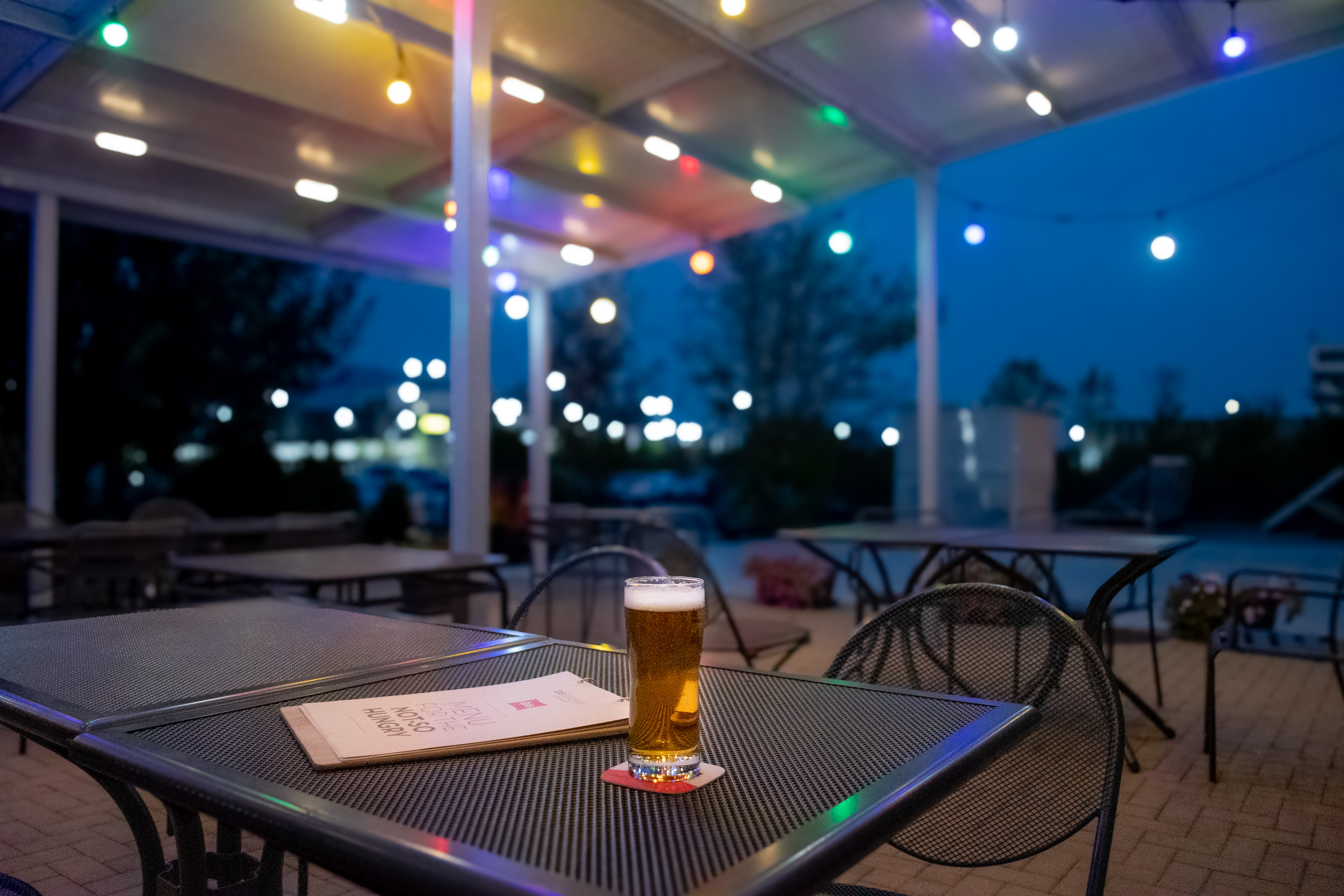 ibis Sofia Airport - photo