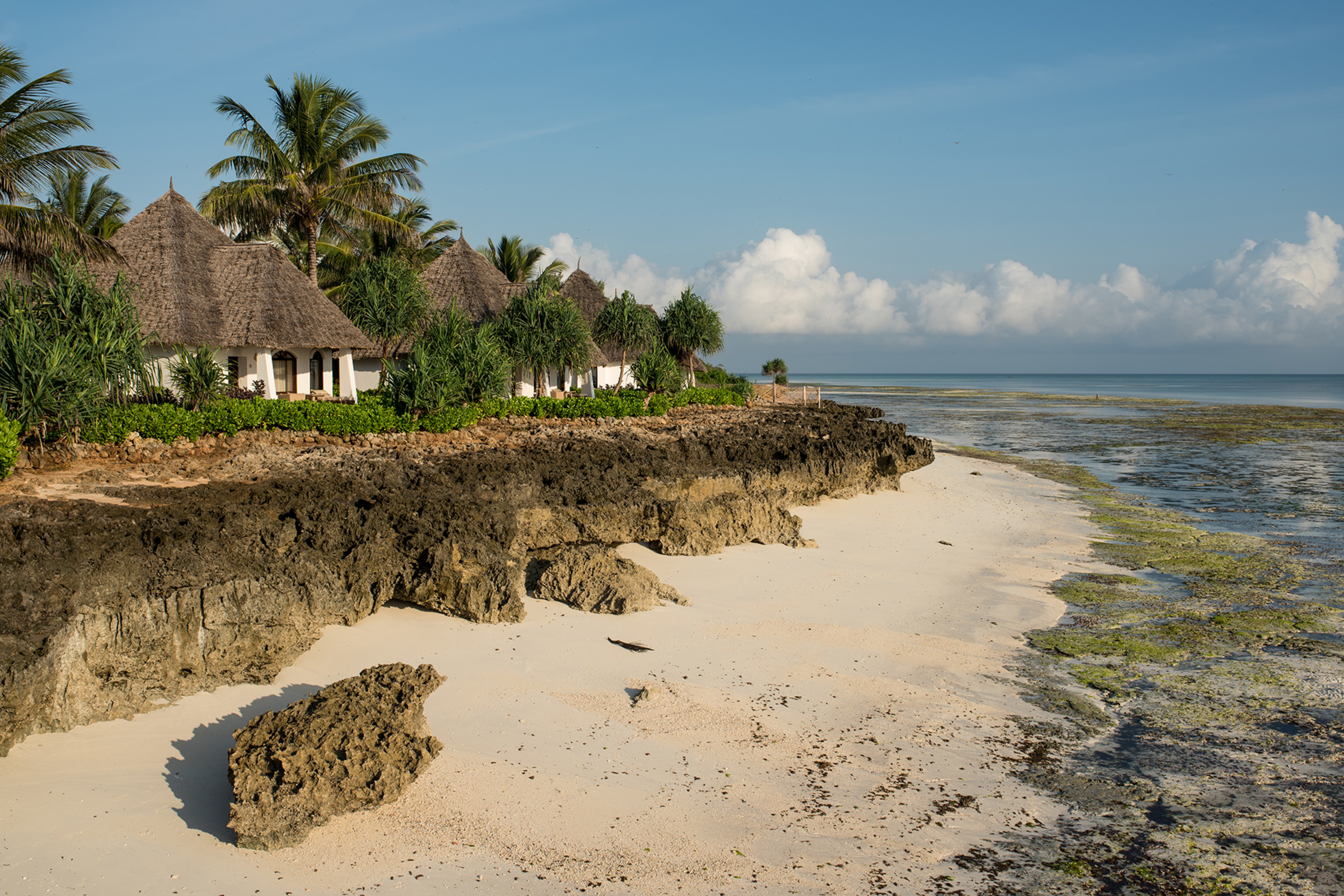 Essque Zalu Zanzibar by null