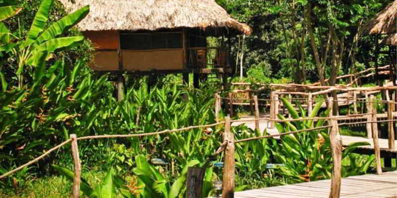 Cotton Tree Lodge