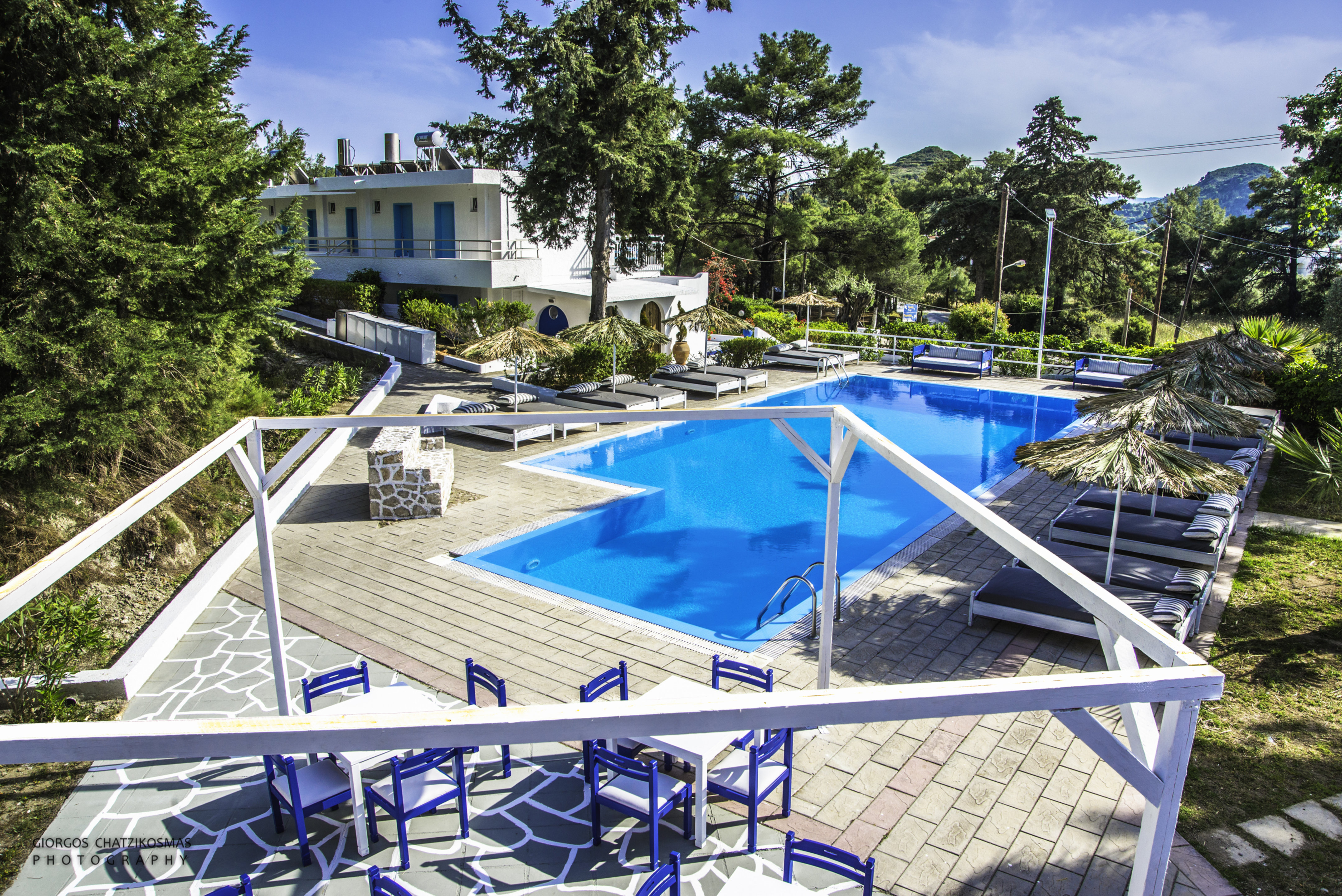 Pine Trees Art Hotel