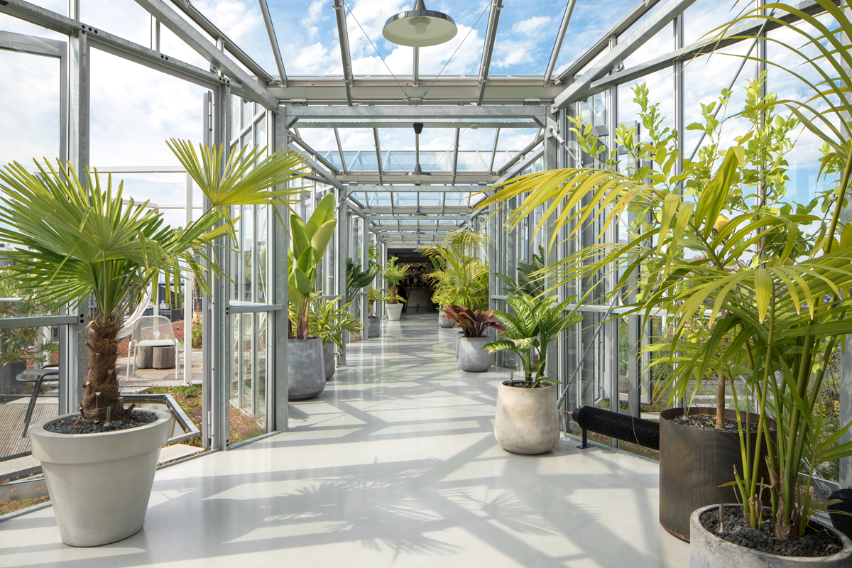 Zoku Amsterdam by null