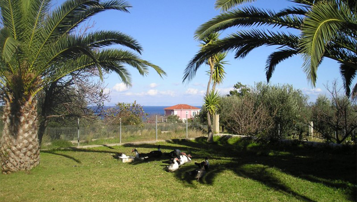 Pitas Studios