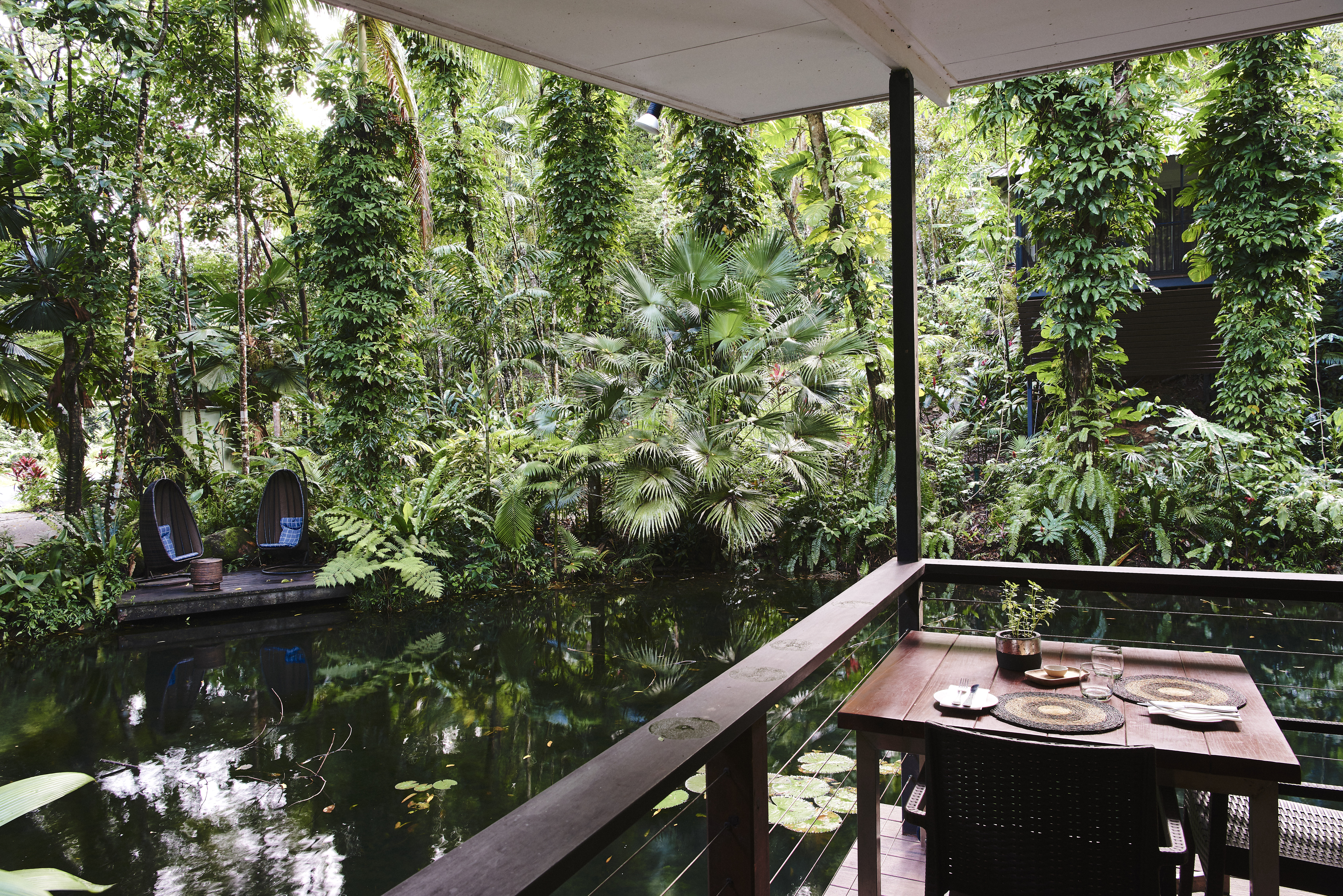 Daintree Ecolodge