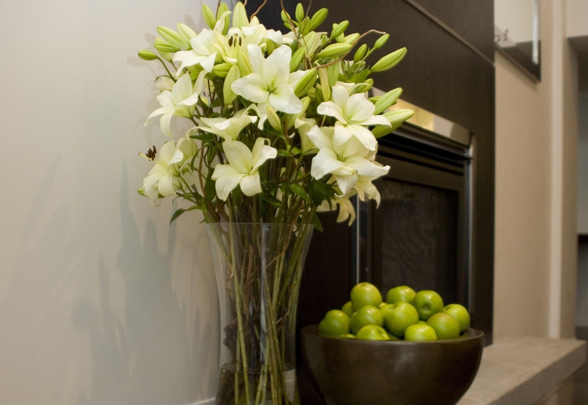 Hotel On Devonport by null