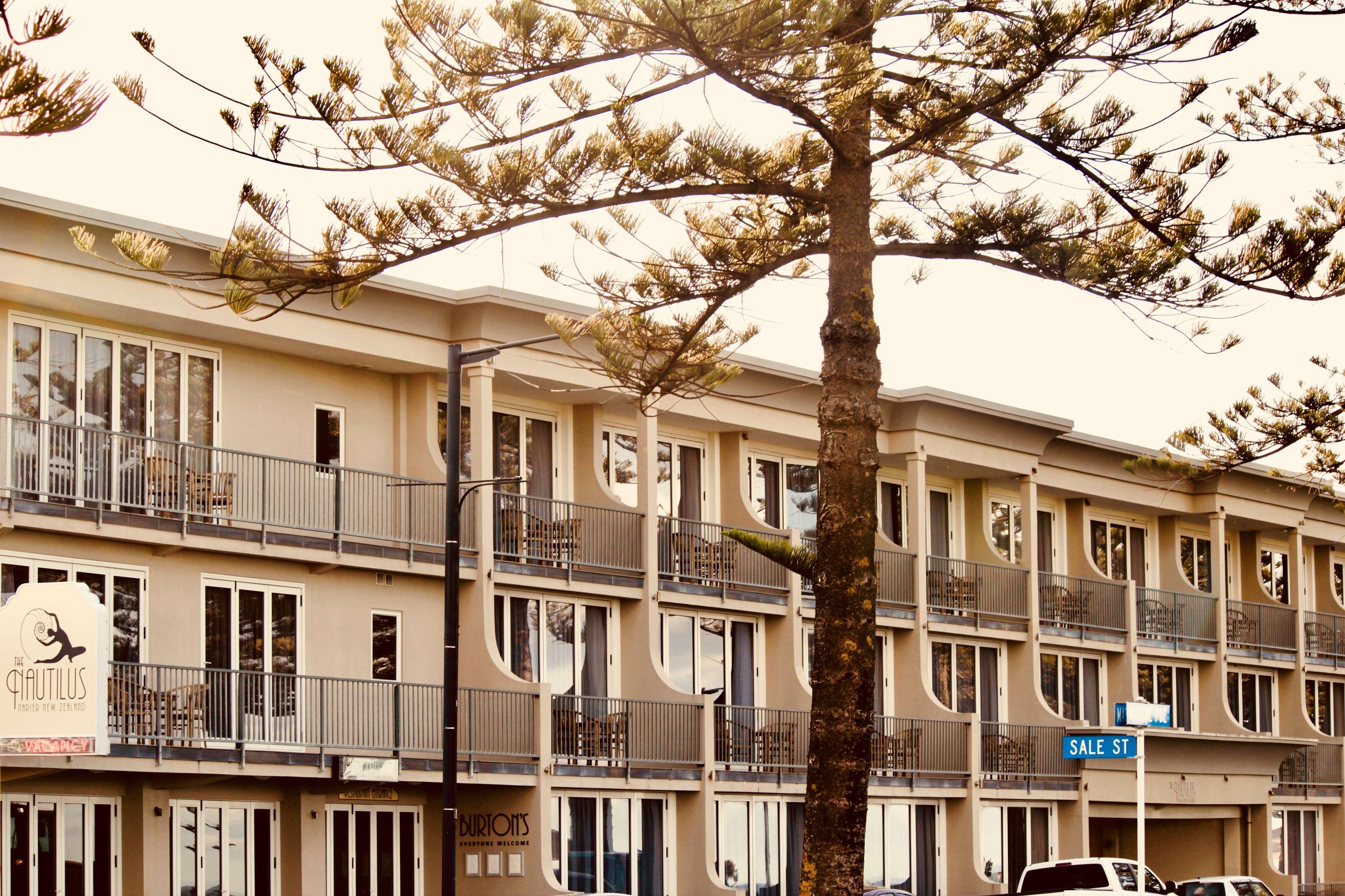 The Nautilus Napier by null