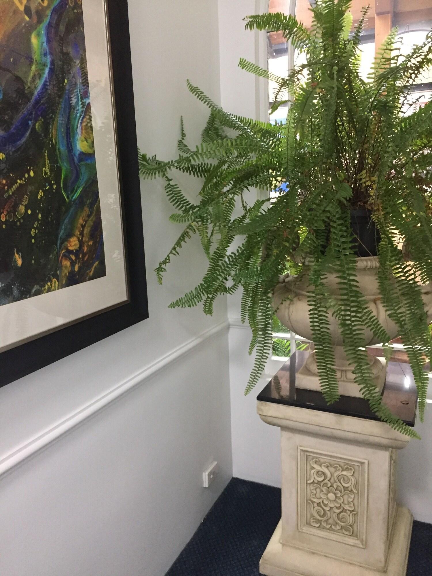 Art Hotel on York by null