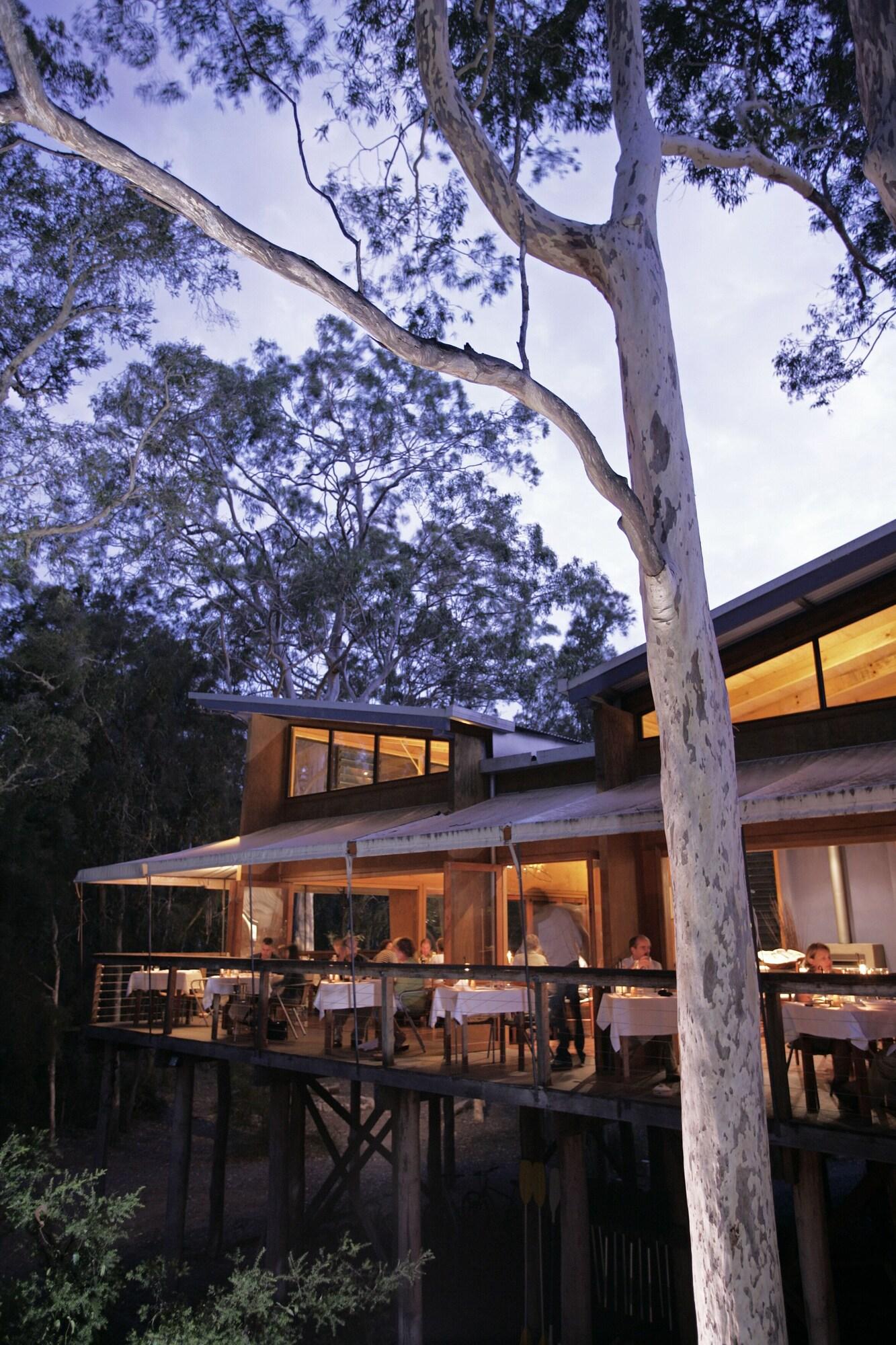 Paperbark Camp