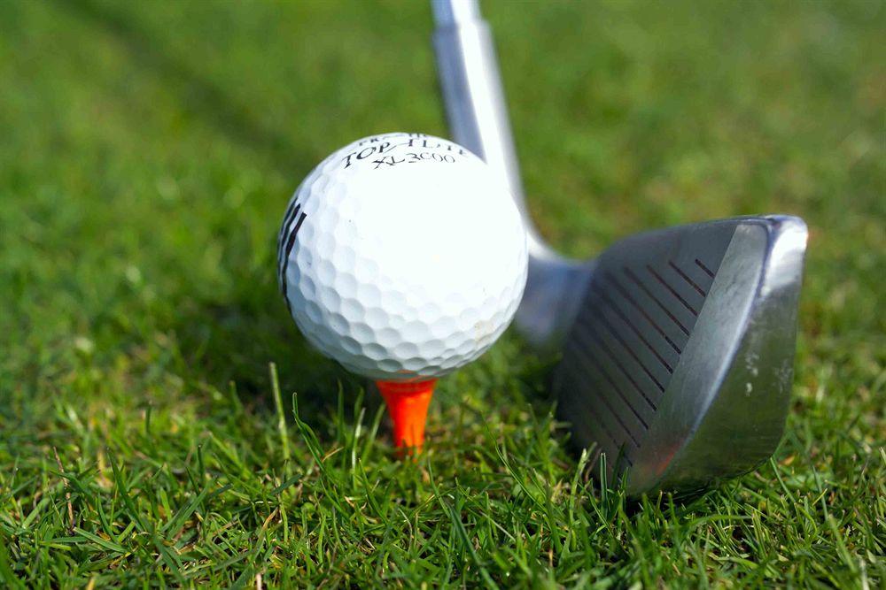 Tamar Valley Resort, Grindelwald by null