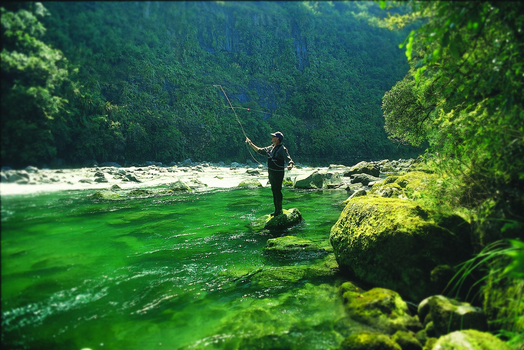 Treetops Lodge & Estate - by null