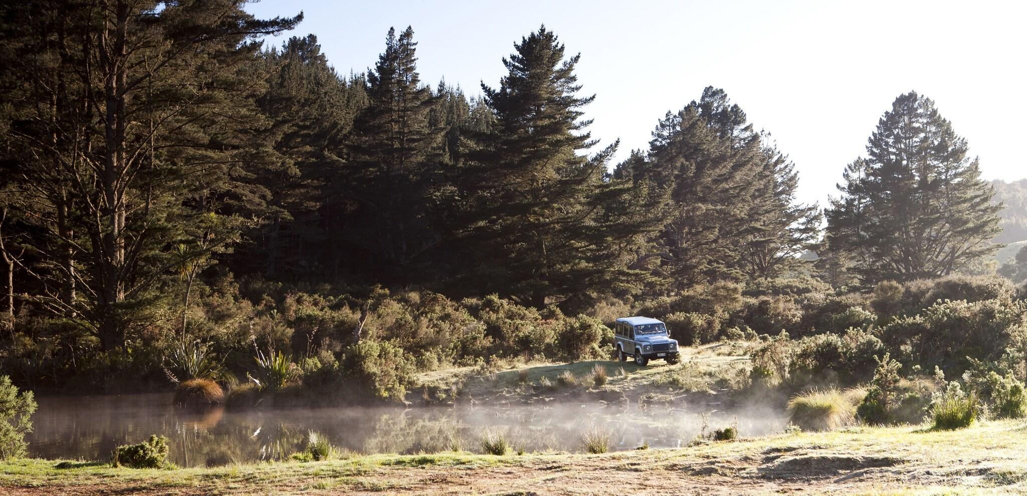 Treetops Lodge & Estate - by null