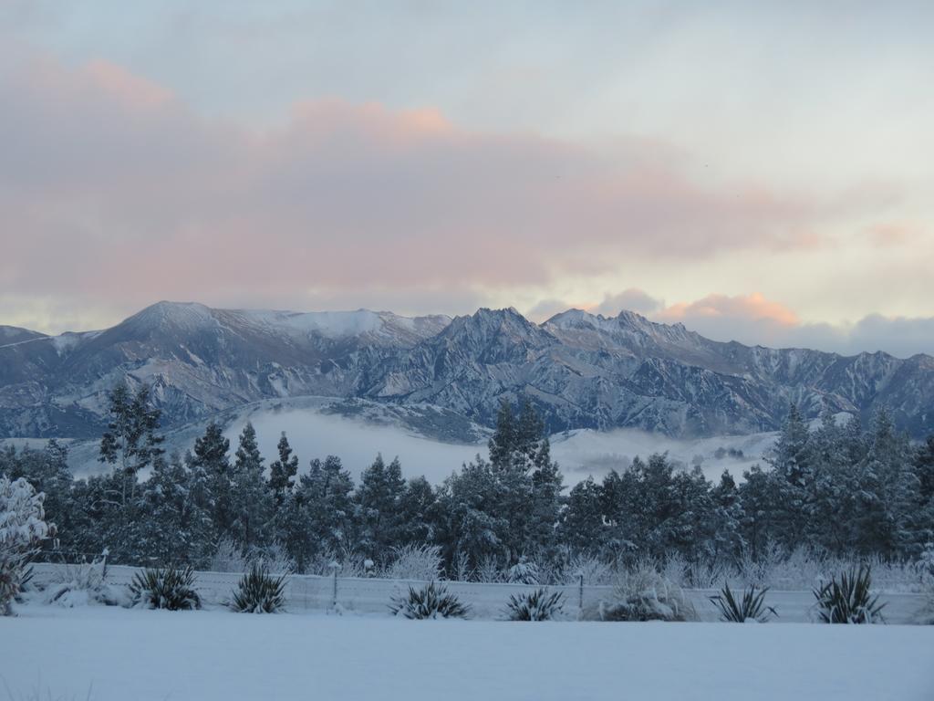 Wanaka Haven by null
