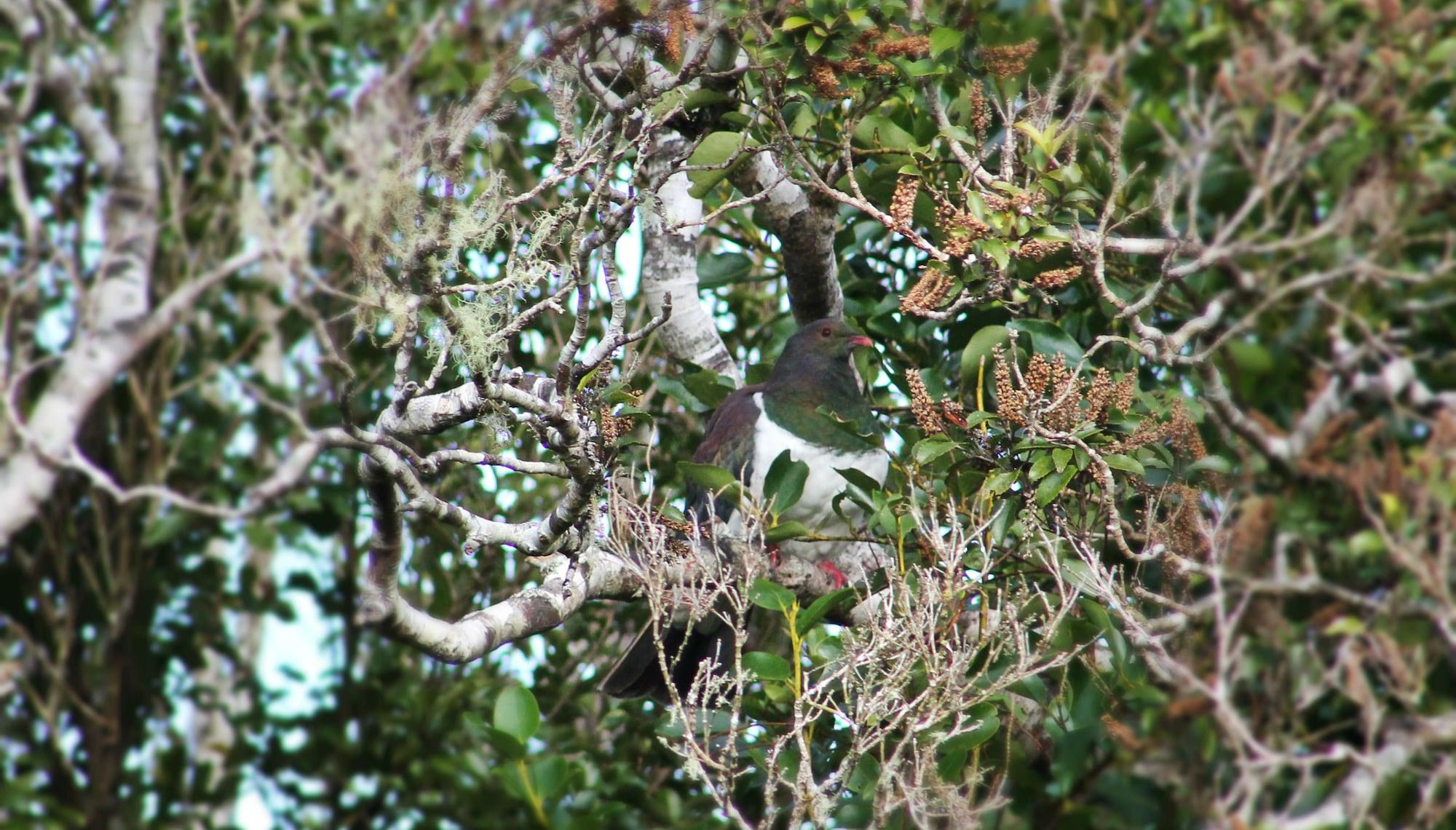 Westwood Lodge by null