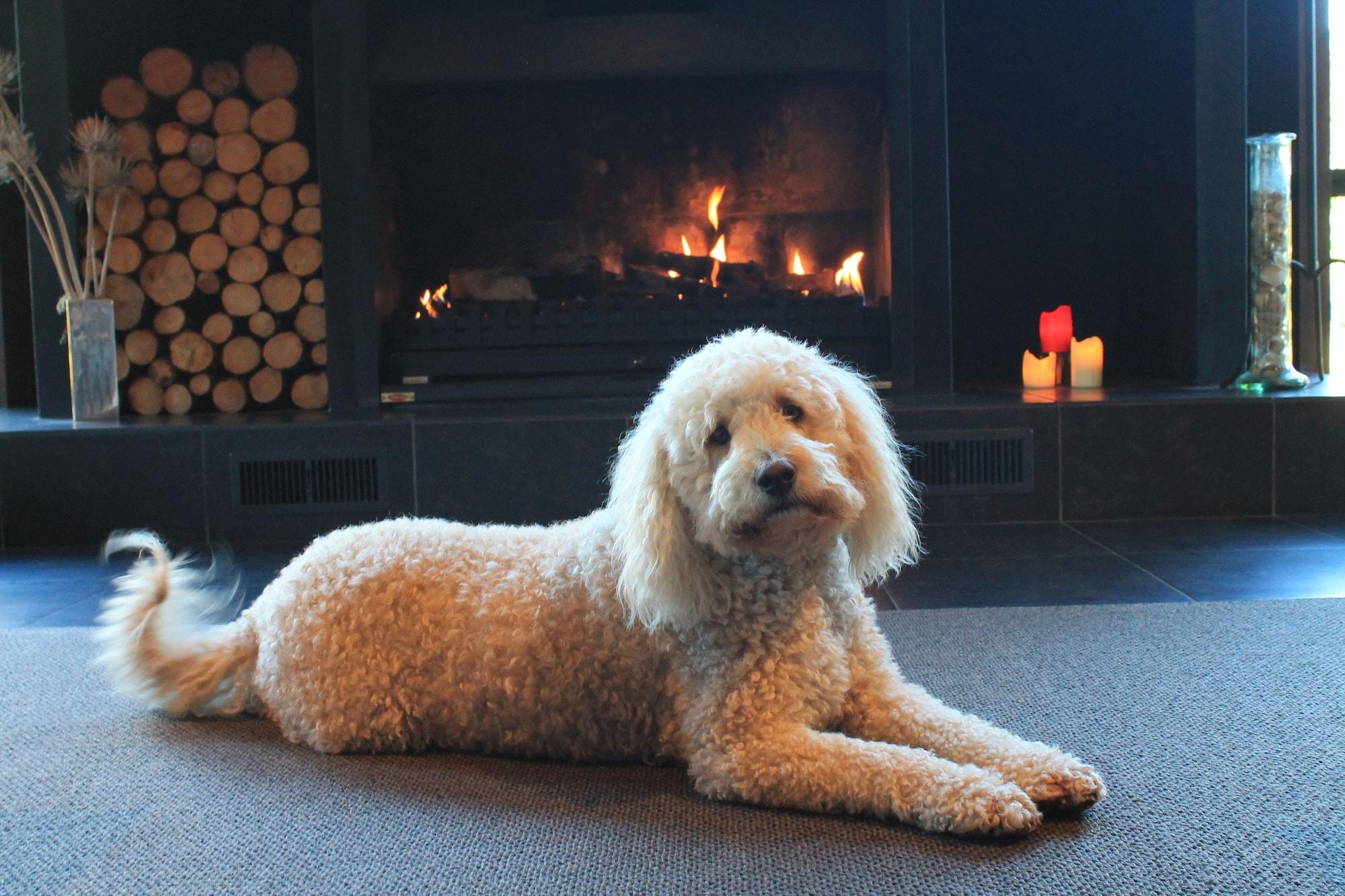 Westwood Lodge by null