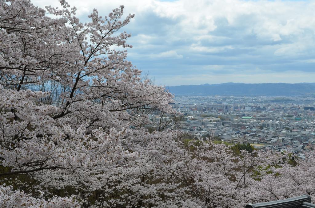 Ando Hotel Nara Wakakusayama by null