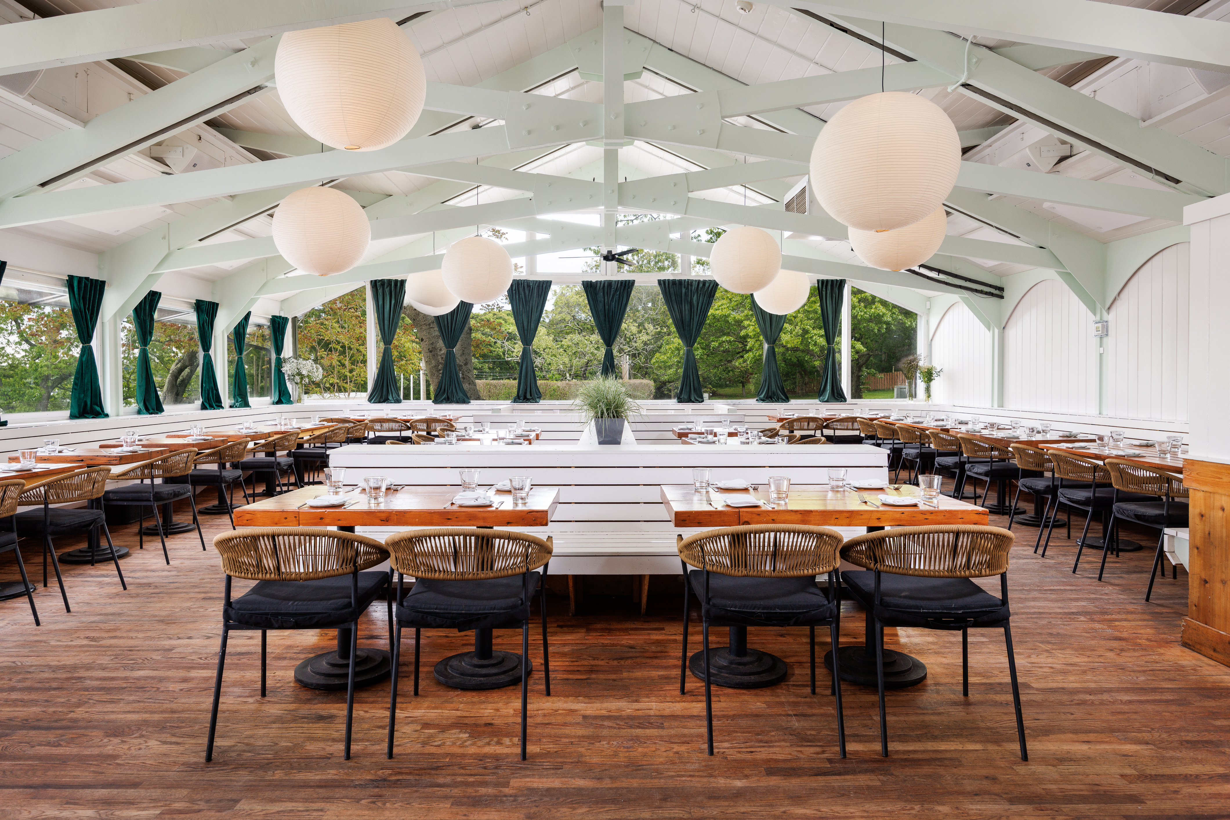 Ruschmeyer's