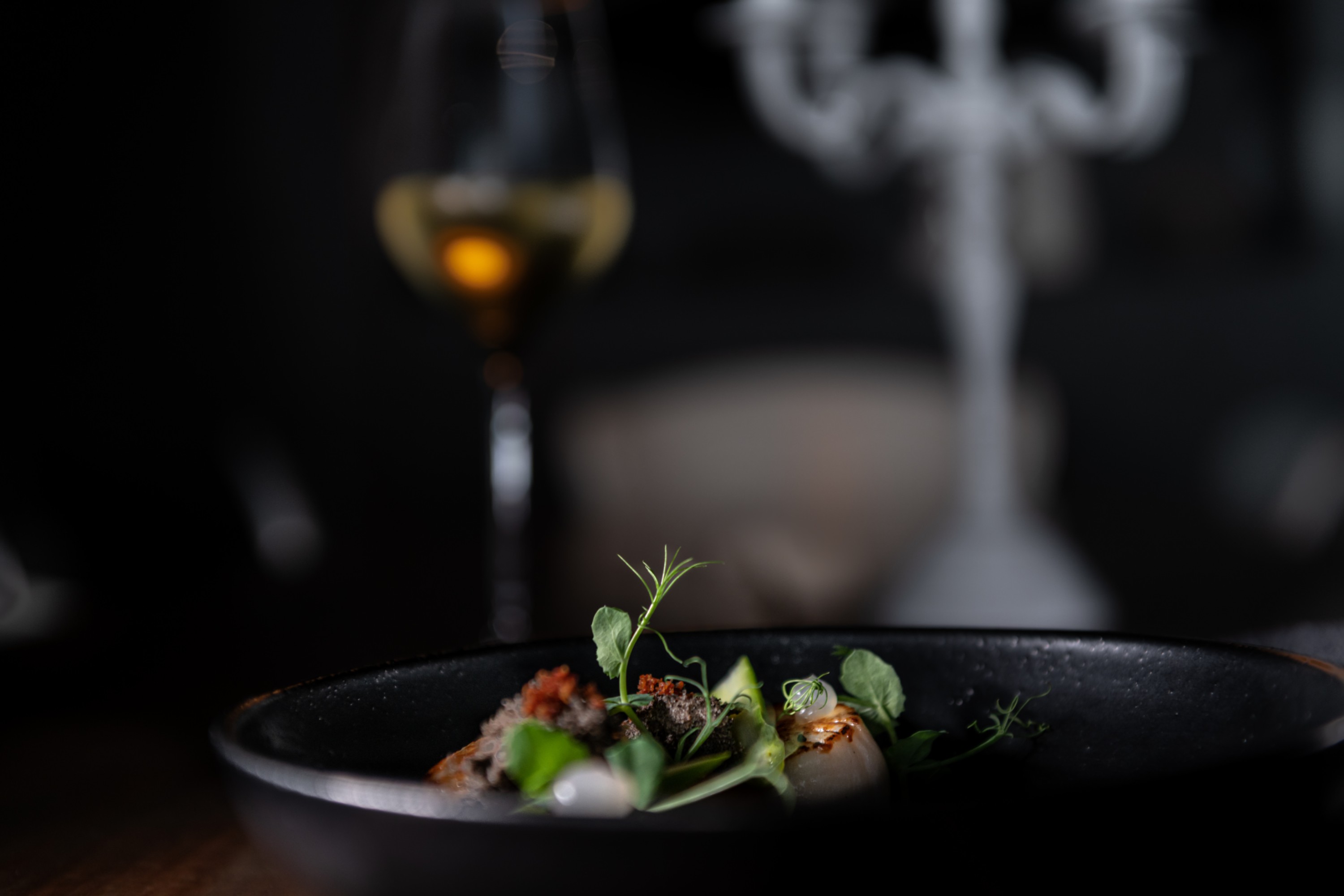 West East Suites by null