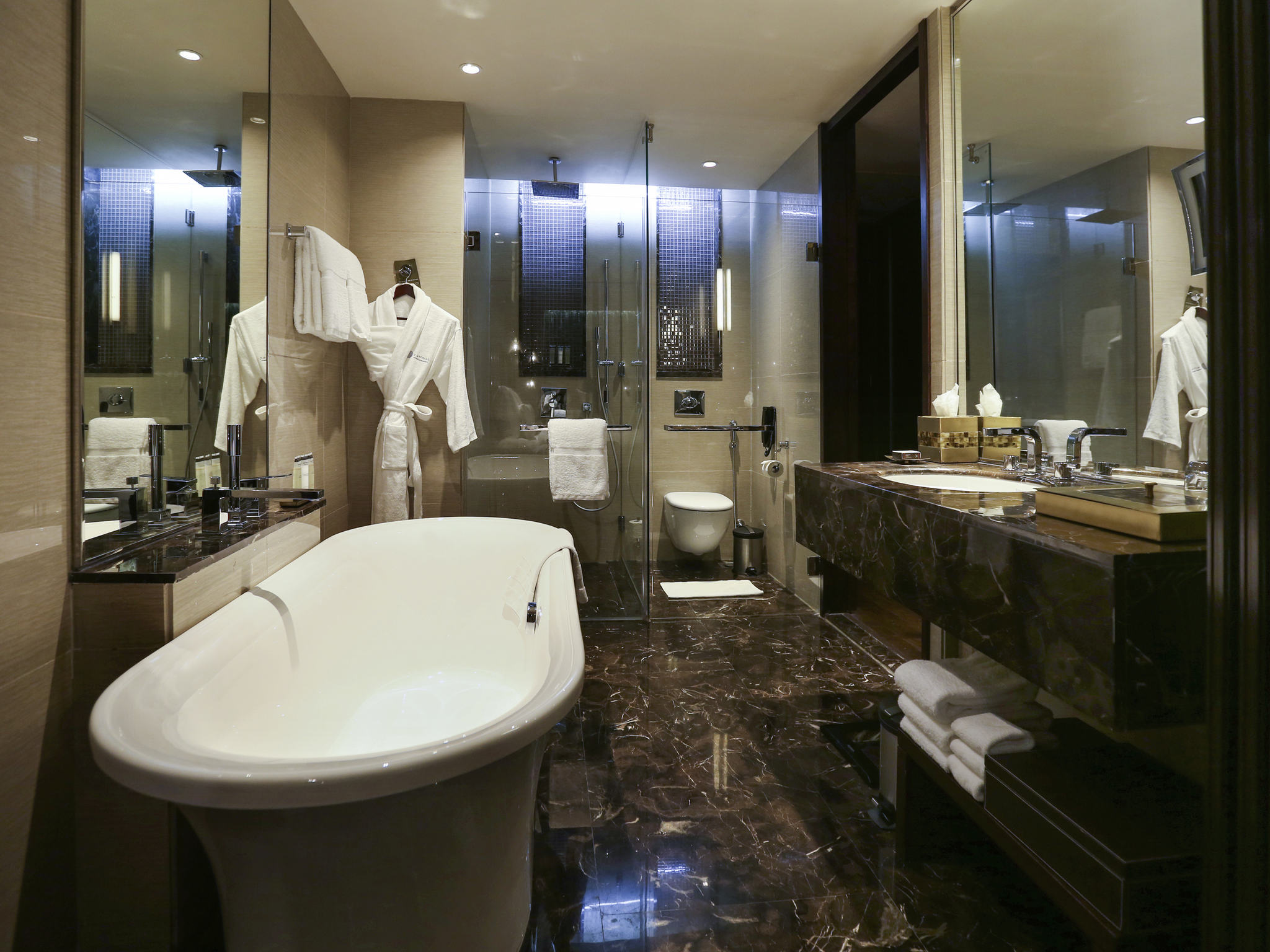 Pullman New Delhi Aerocity