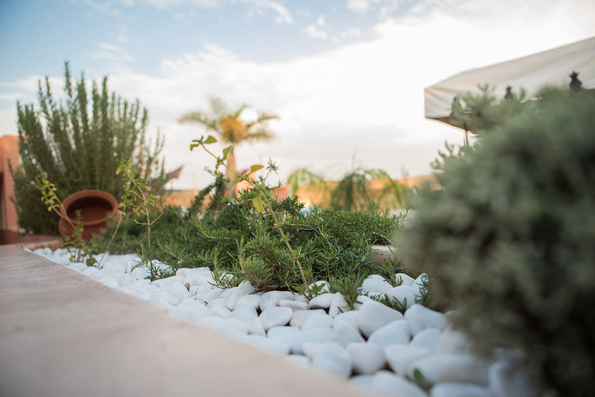 Riad Villa Harmonie