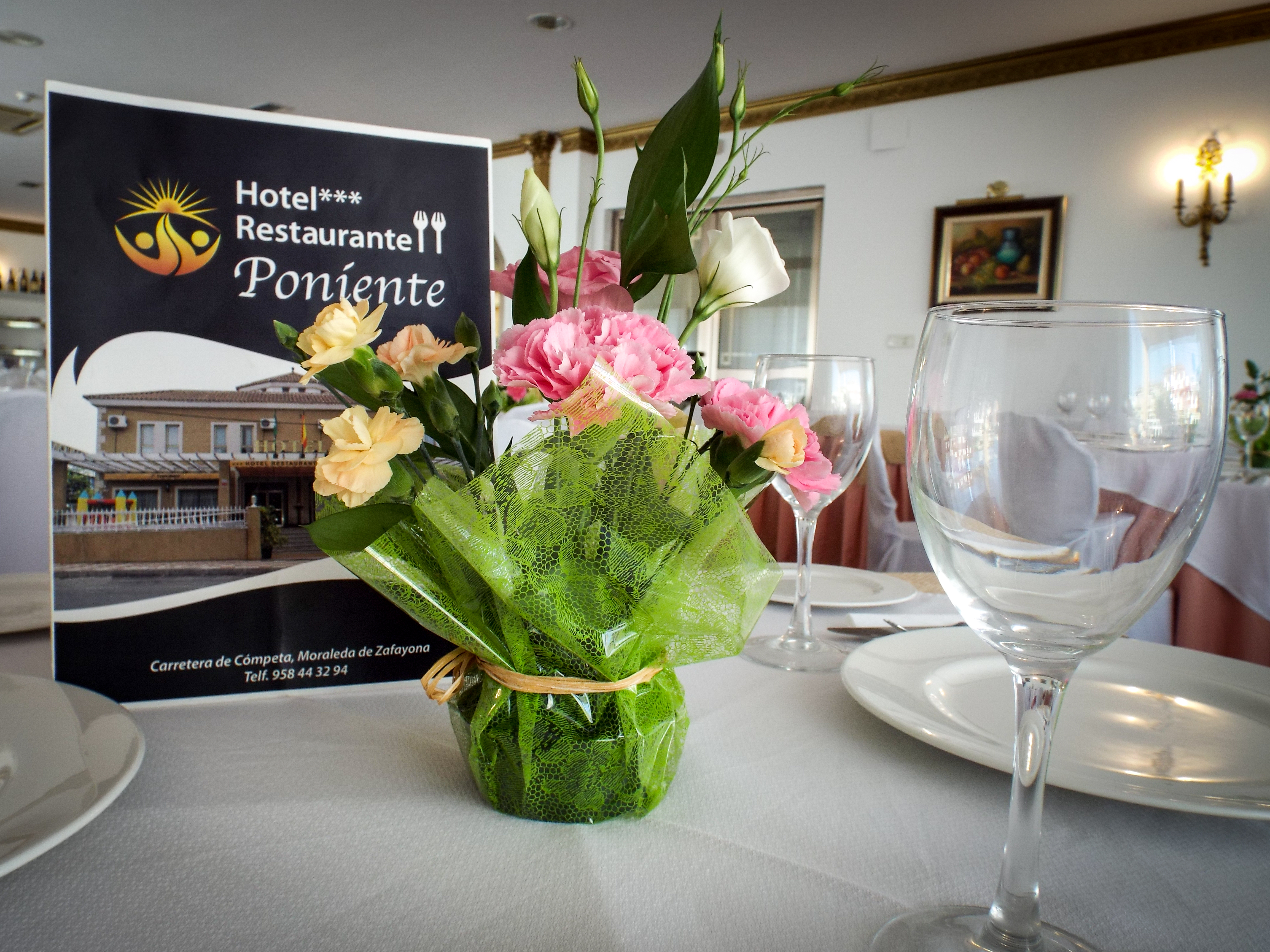 Hotel Poniente