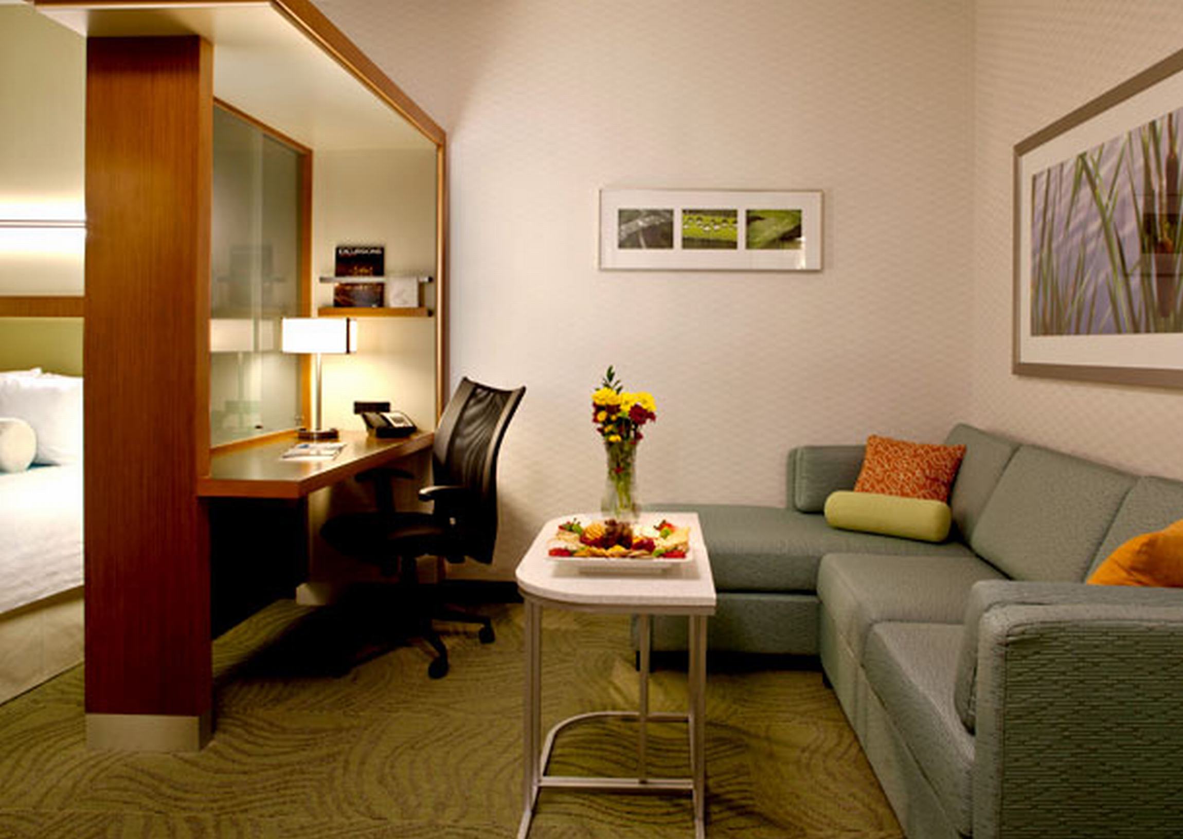 SpringHill Suites Huntsville Downtown by null