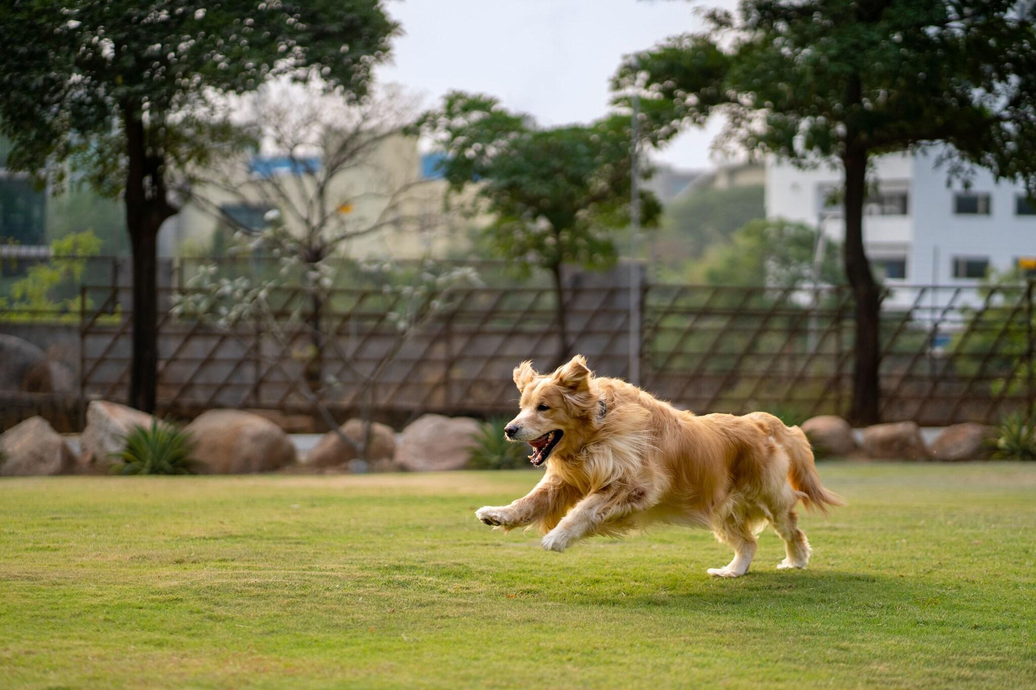 Hyatt Hyderabad Gachibowli
