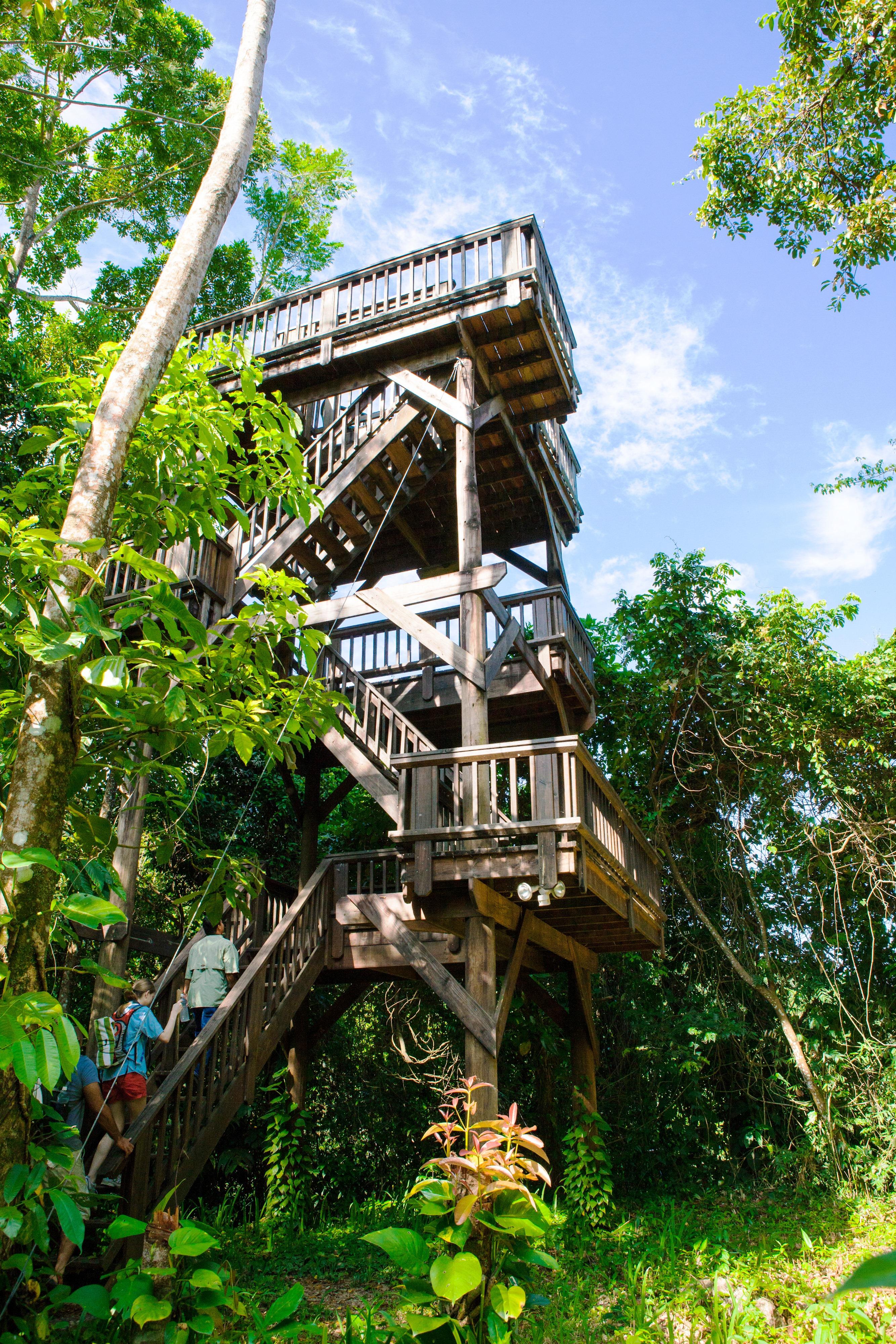 The Lodge & Spa at Pico Bonito by null