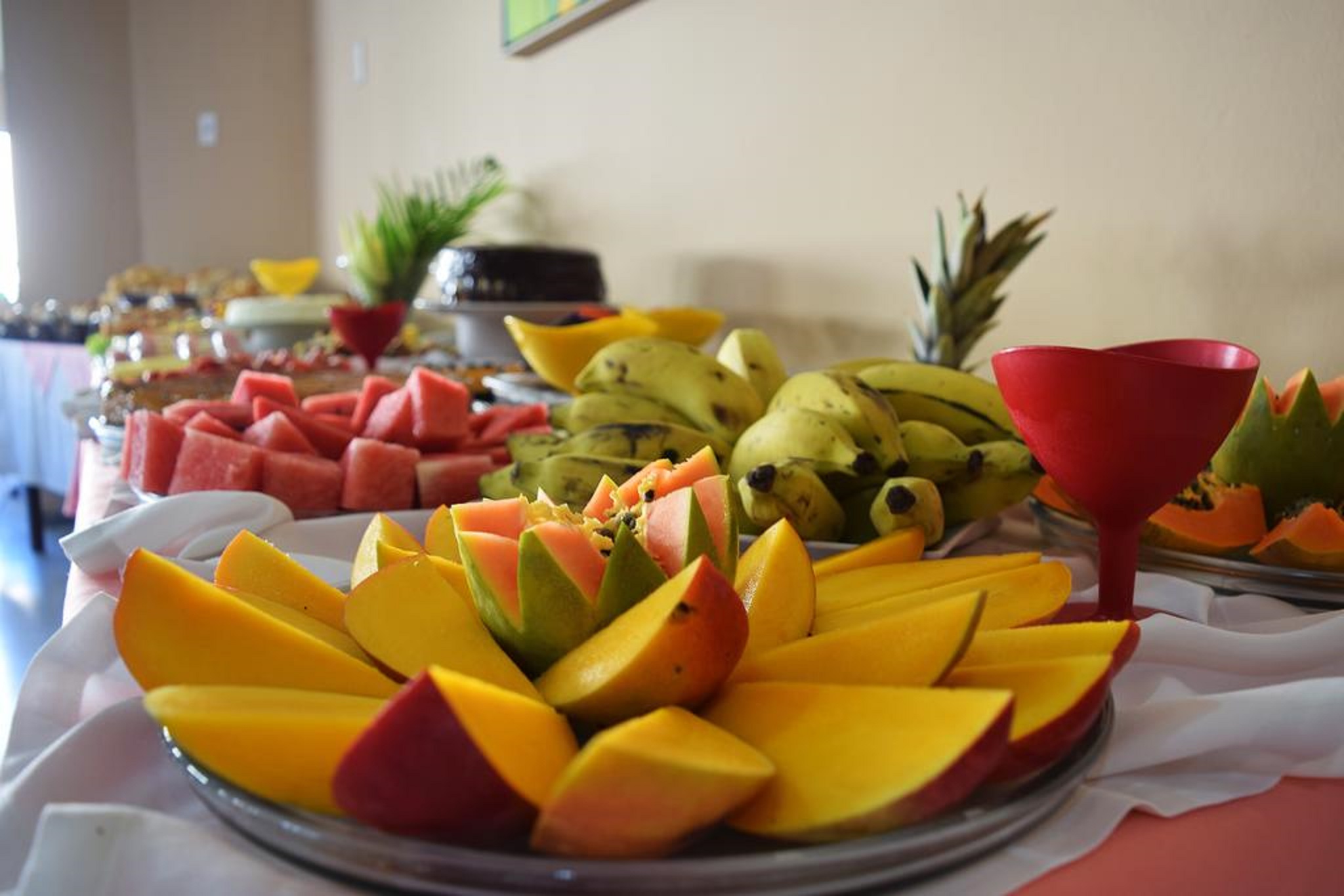 Pontal Praia Hotel