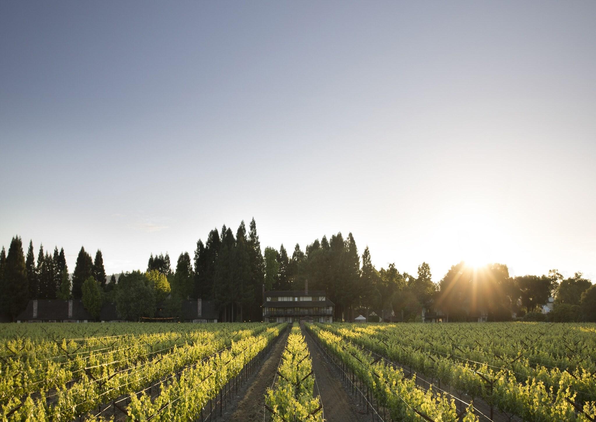 Harvest Inn by null Harvest Inn by null