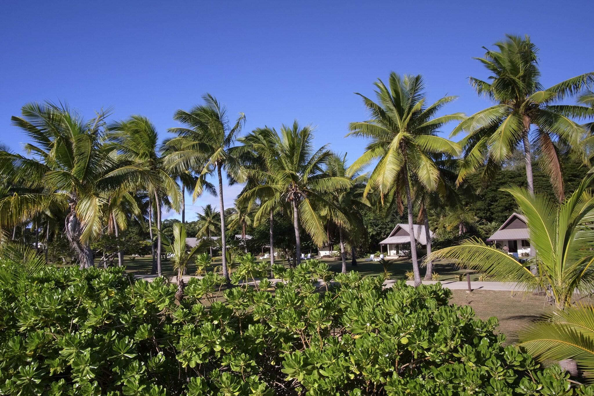 Musket Cove Island Resort & Marina by null