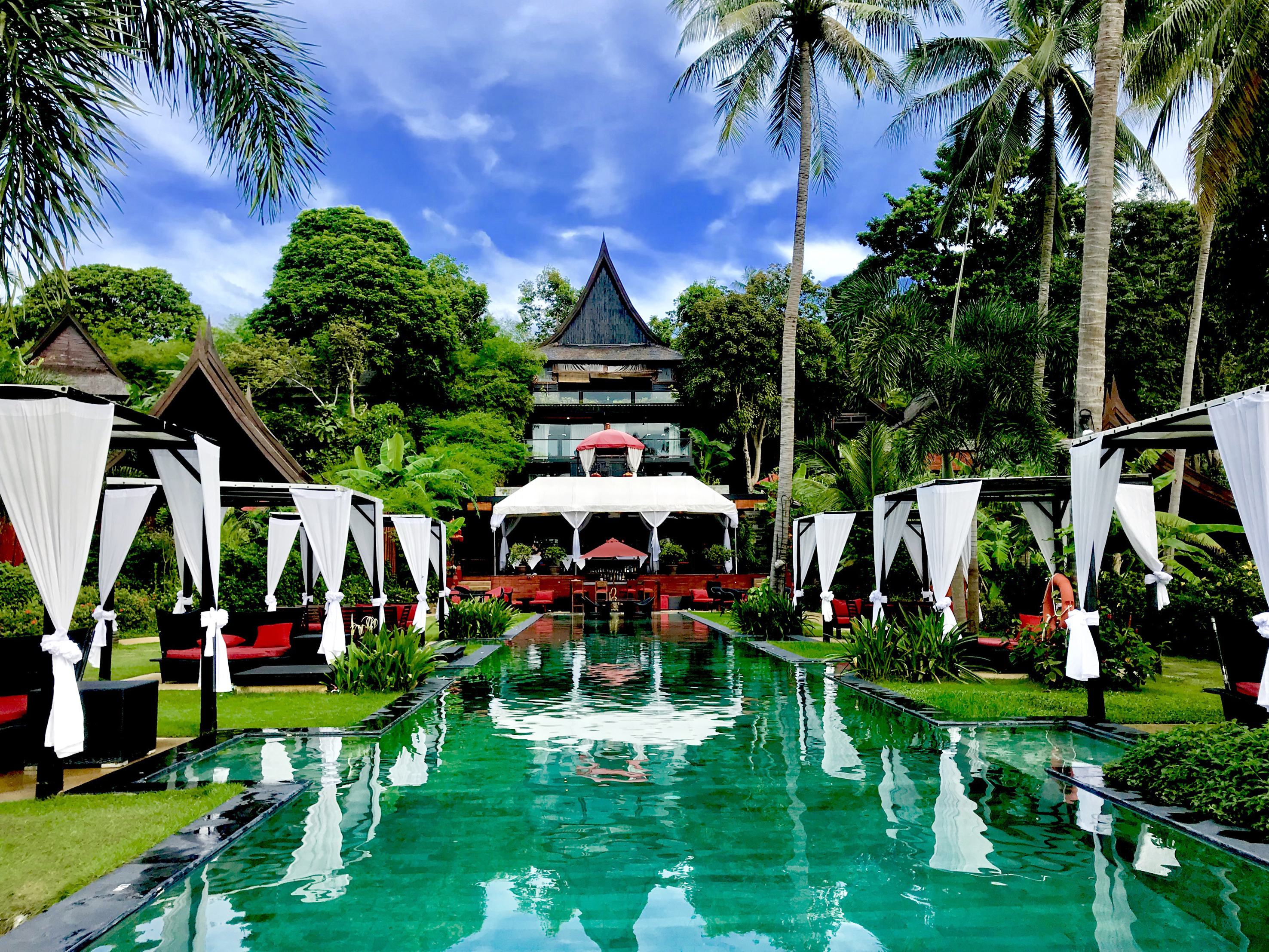 Kupu Kupu Phangan by null