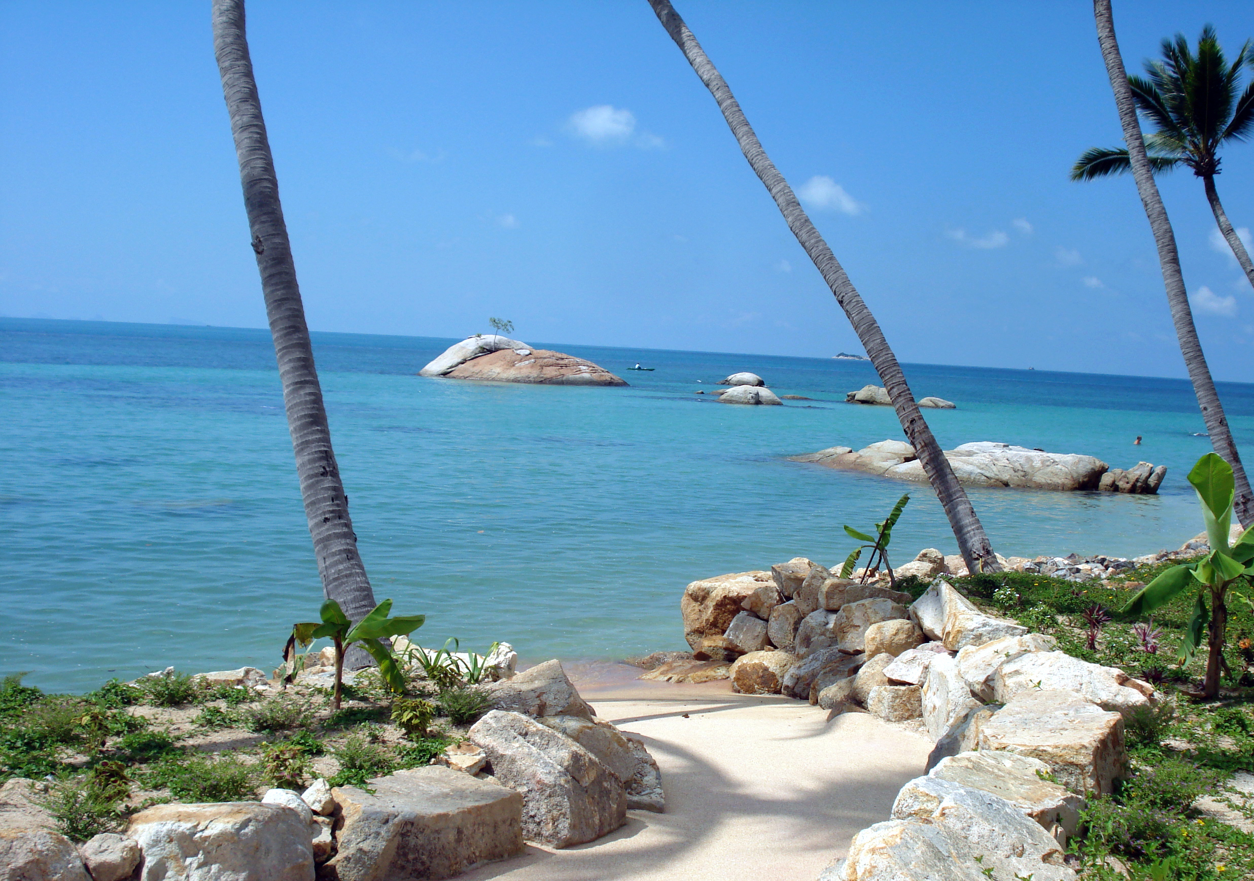 Kupu Kupu Phangan by null